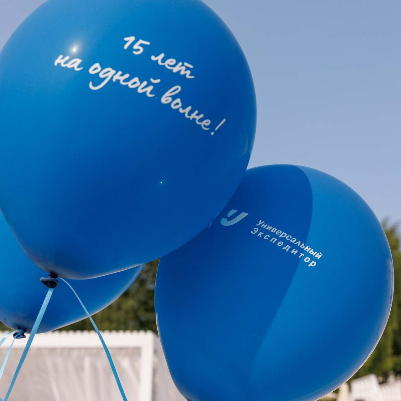 Отзывы. Спортивный фотограф Алексей Соломин