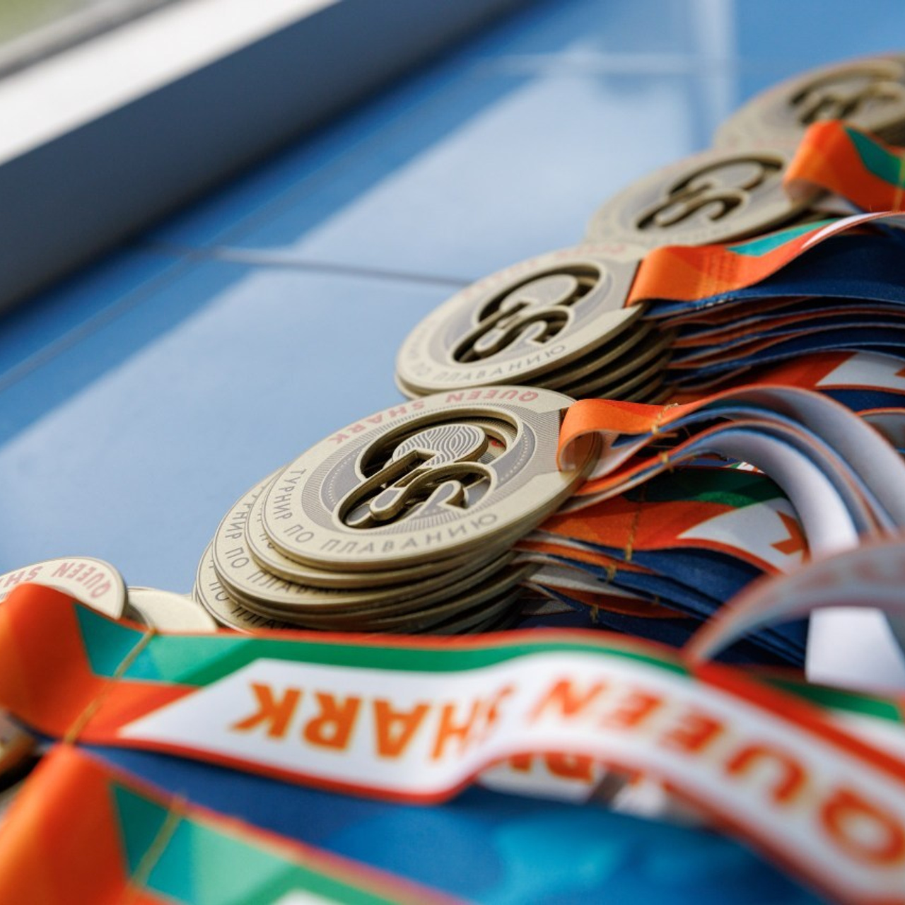 Отзывы. Спортивный фотограф Алексей Соломин