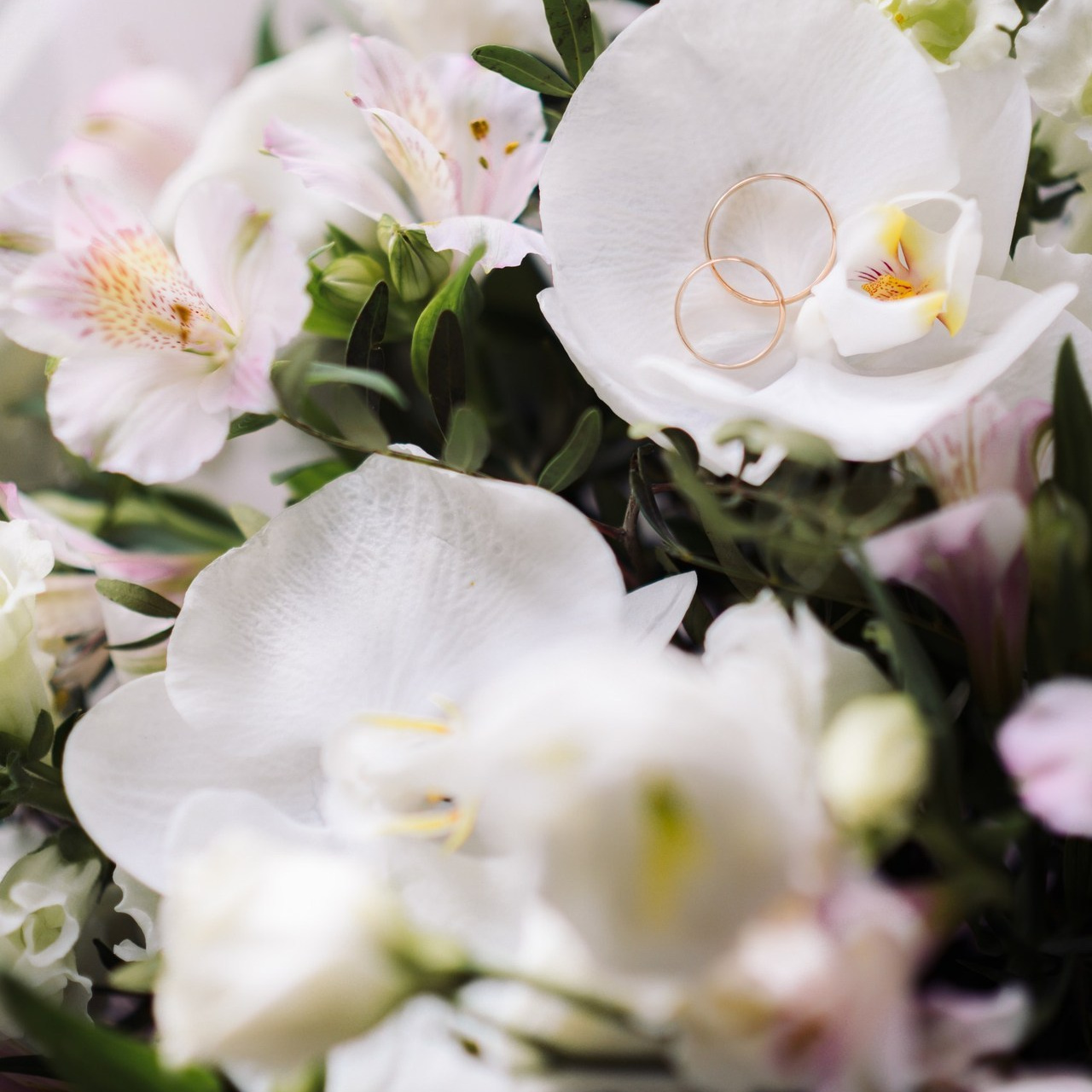 Отзывы. Фотограф в Ярославле Коваленко Лена