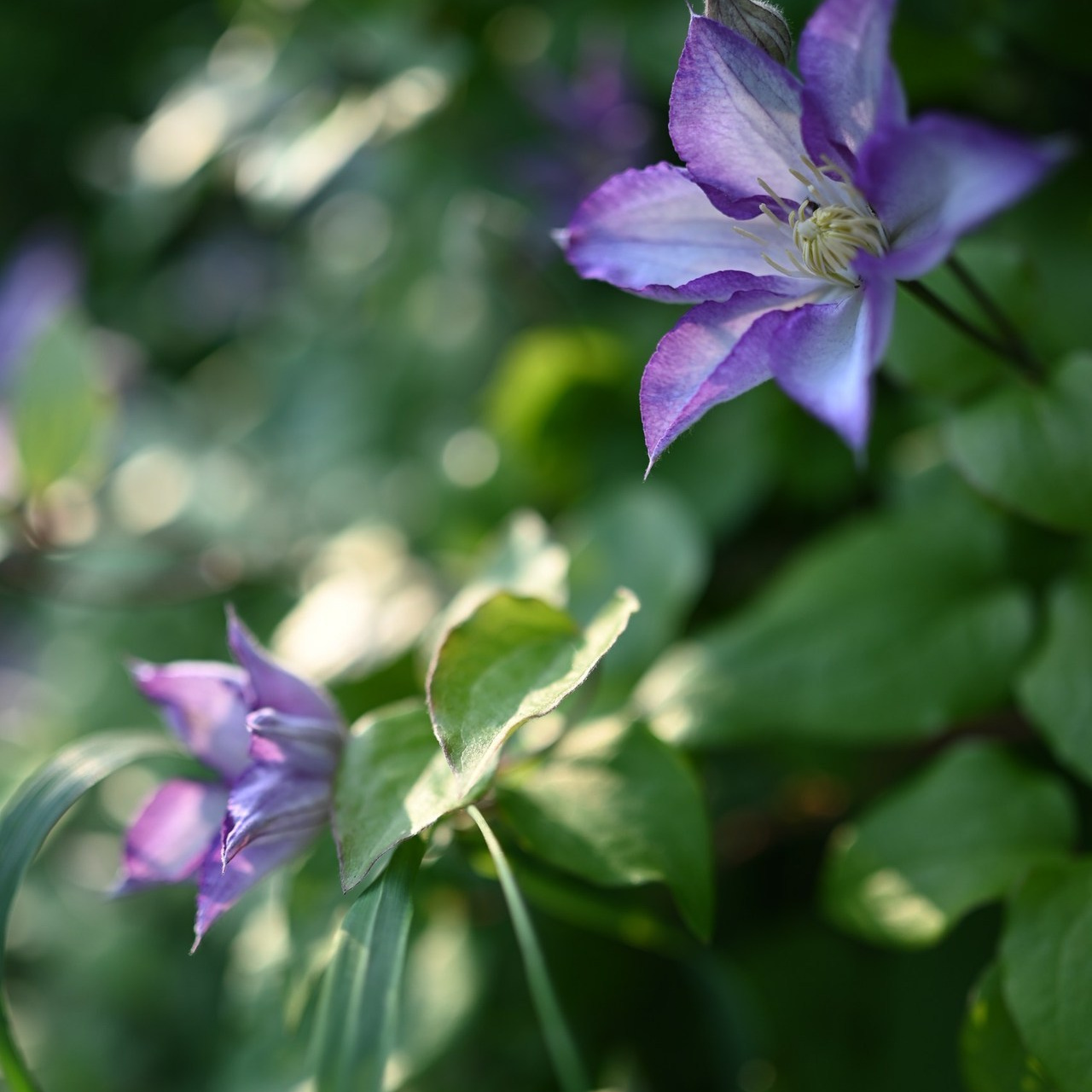 Отзывы. Фотограф в Ярославле Коваленко Лена