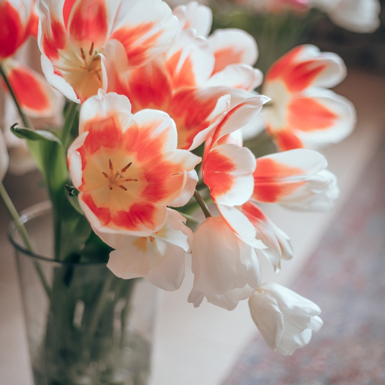 Отзывы. Семейный и детский фотограф в г. Новосибирске Макеева Анастасия