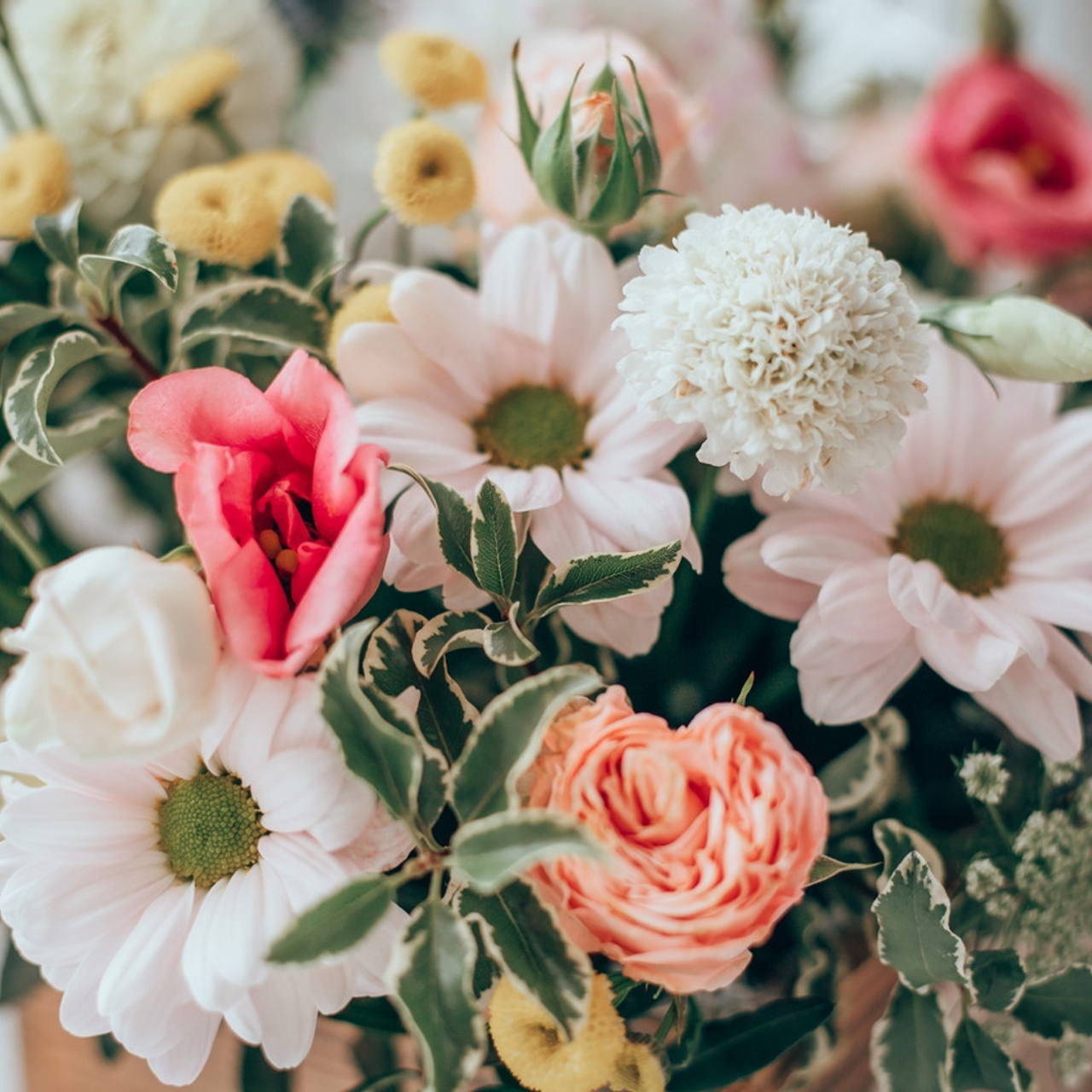 Отзывы. Семейный и детский фотограф в г. Новосибирске Макеева Анастасия