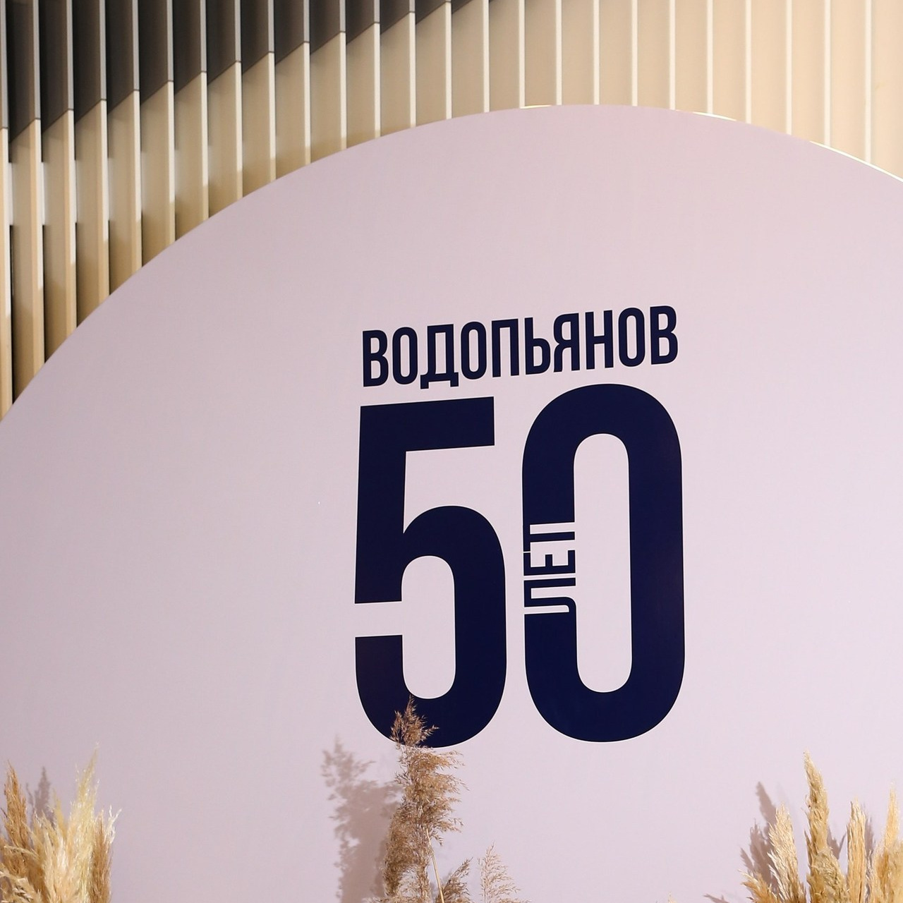 Отзывы. Ваш фотограф Дмитрий Тихонов