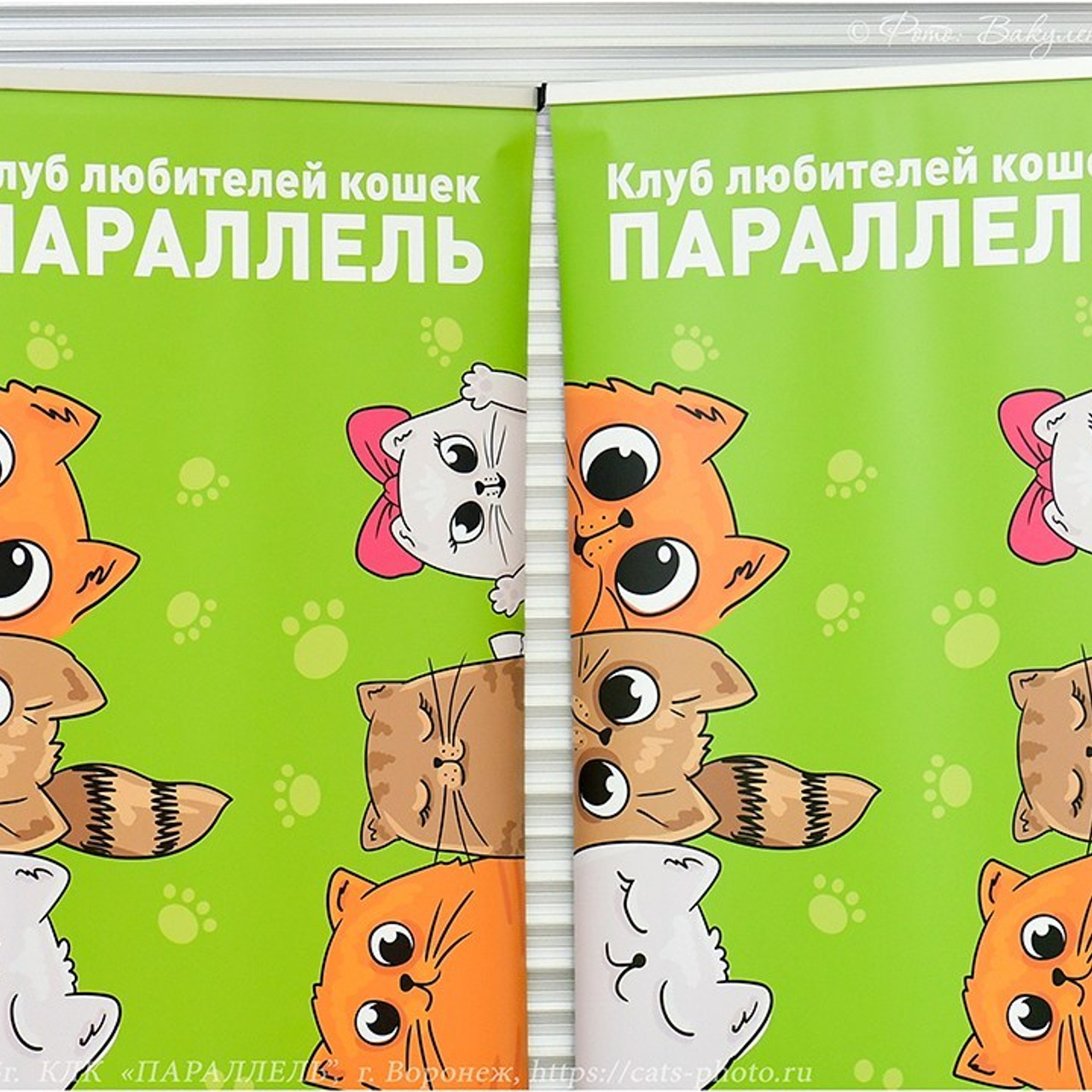 Отзывы. Фотограф анималист | семейный Юлия Вакуленко, г. Краснодар