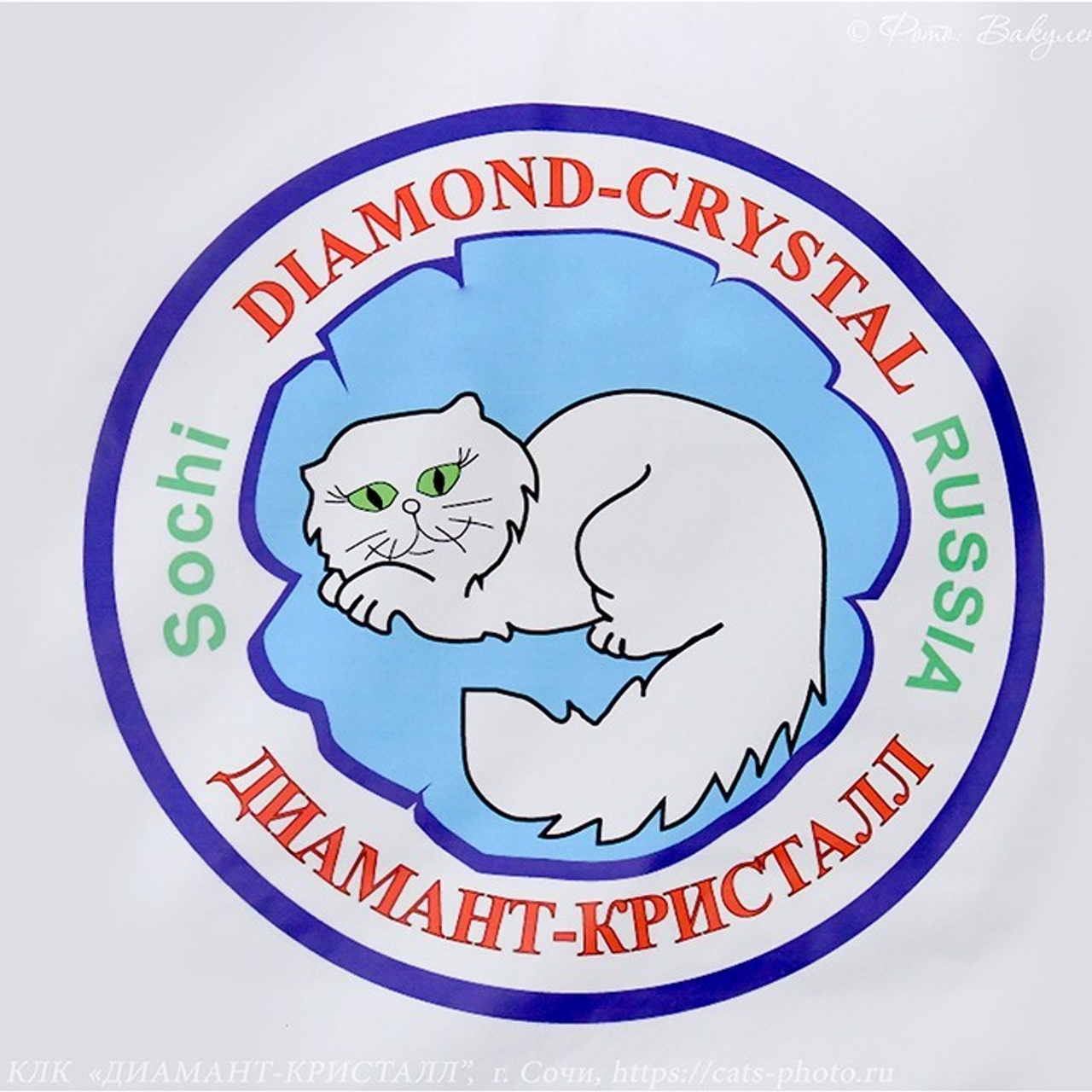 Отзывы. Фотограф анималист | семейный Юлия Вакуленко, г. Краснодар