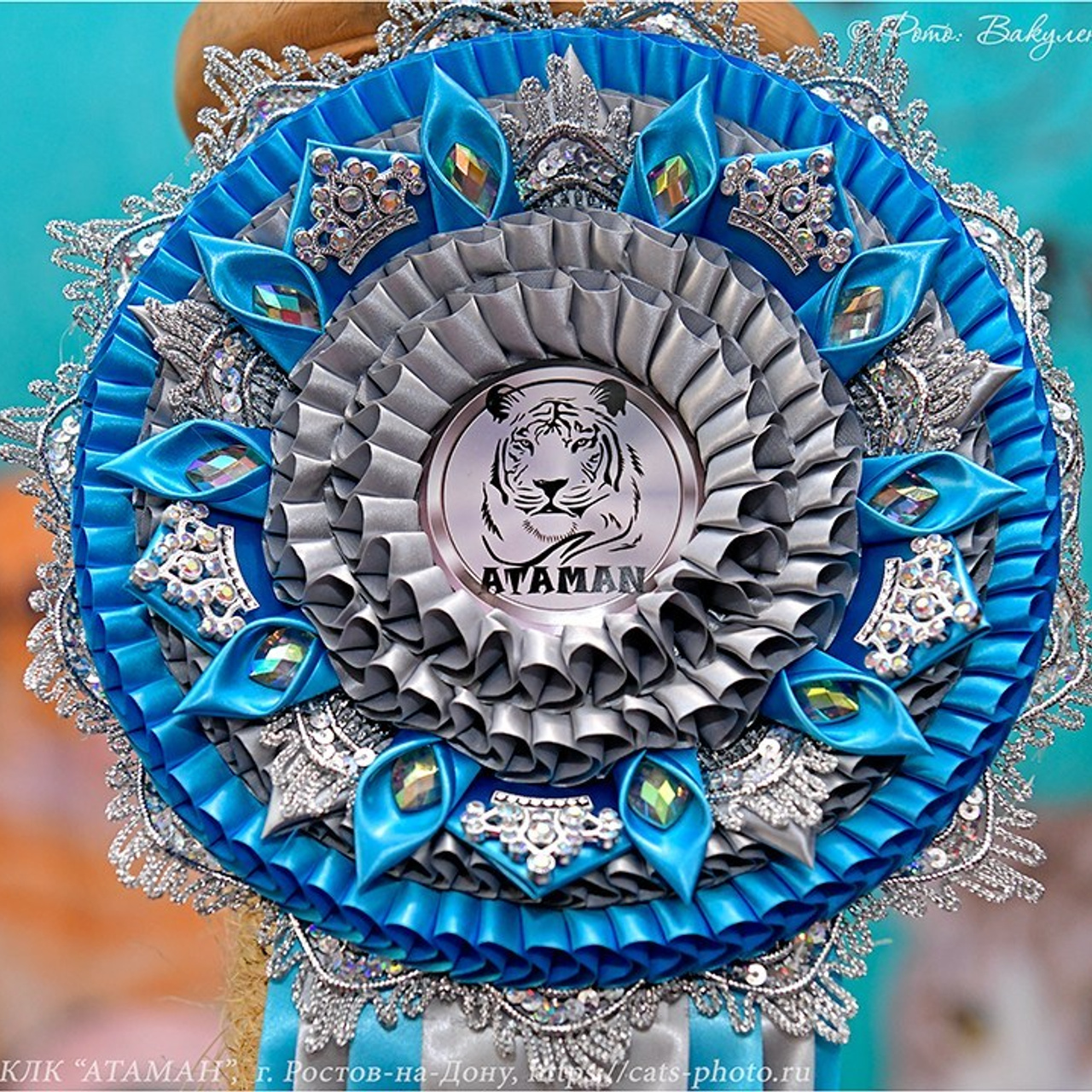 Отзывы. Фотограф анималист | семейный Юлия Вакуленко, г. Краснодар