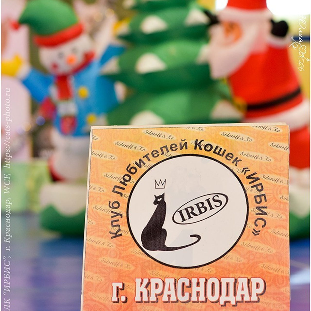 Отзывы. Фотограф анималист | семейный Юлия Вакуленко, г. Краснодар