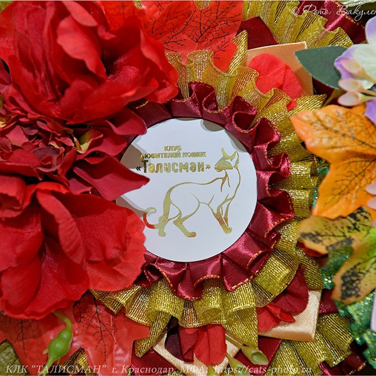 Отзывы. Фотограф анималист | семейный Юлия Вакуленко, г. Краснодар