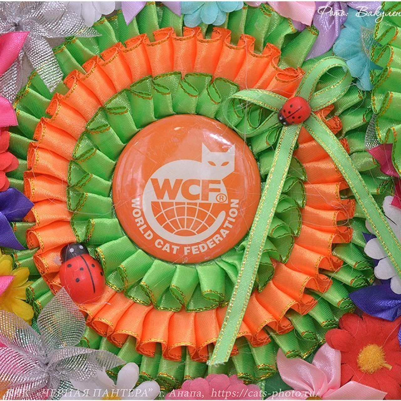 Отзывы. Фотограф анималист | семейный Юлия Вакуленко, г. Краснодар