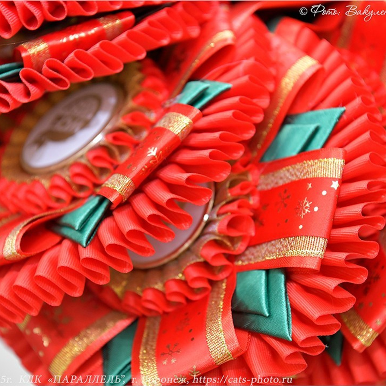 Отзывы. Фотограф анималист | семейный Юлия Вакуленко, г. Краснодар