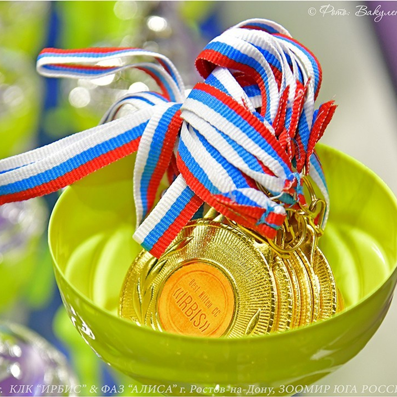 Отзывы. Фотограф анималист | семейный Юлия Вакуленко, г. Краснодар