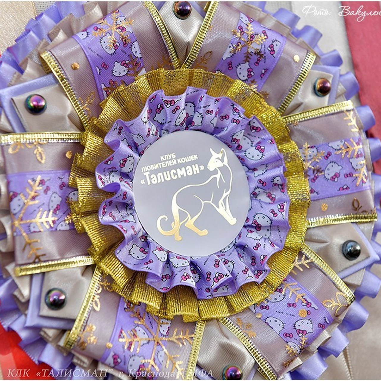 Отзывы. Фотограф анималист | семейный Юлия Вакуленко, г. Краснодар