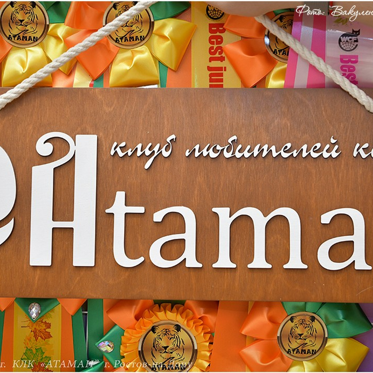 Отзывы. Фотограф анималист | семейный Юлия Вакуленко, г. Краснодар