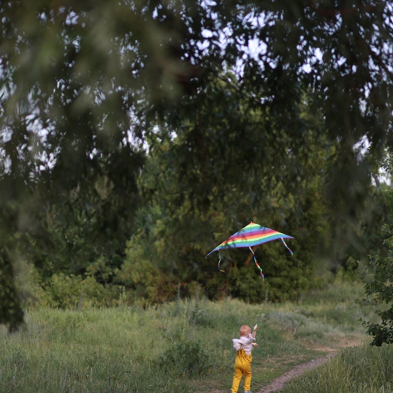 Отзывы. Свадебный фотограф МОСКВА ЛИПЕЦК Ольга Шишук