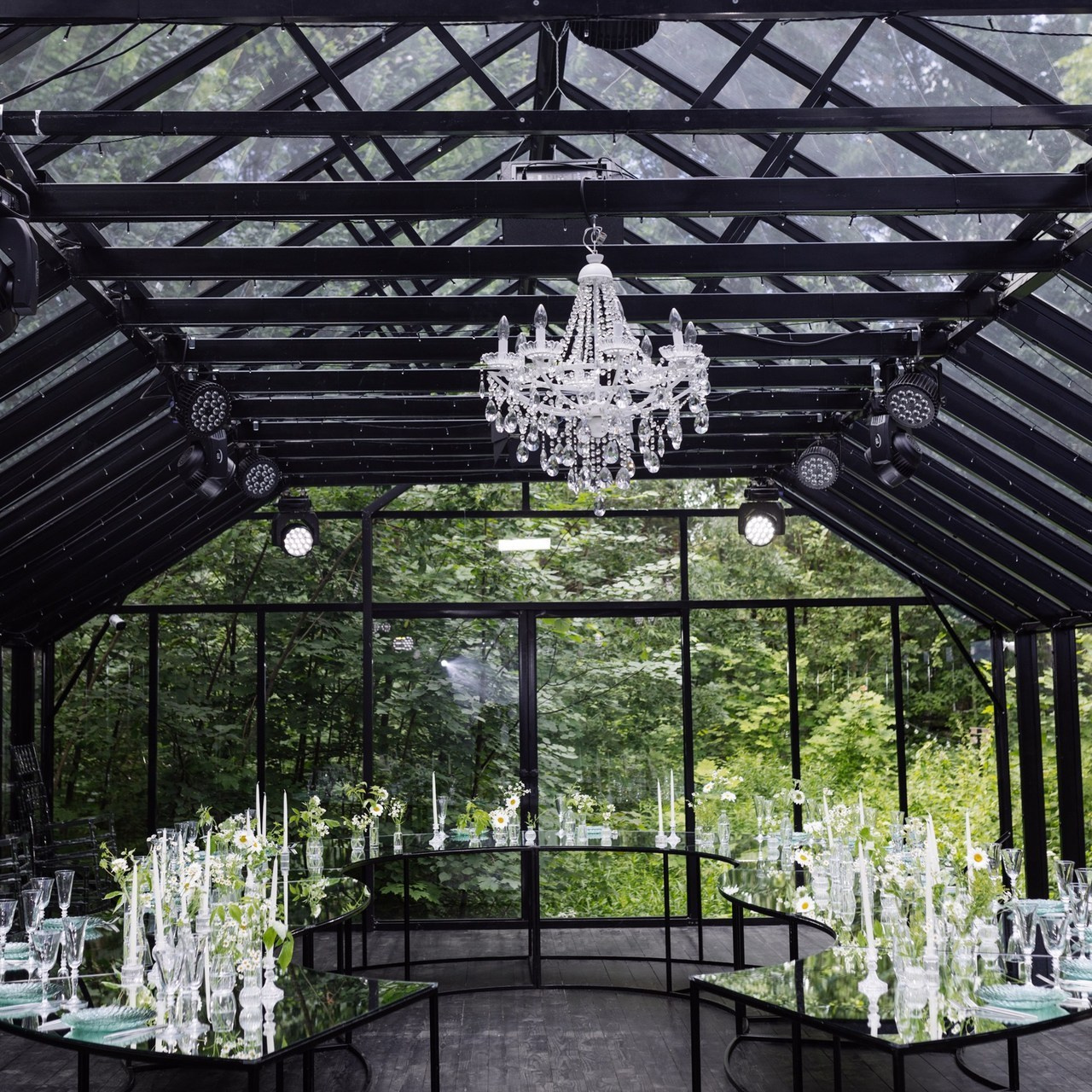 Отзывы. Свадебный фотограф МОСКВА ЛИПЕЦК Ольга Шишук