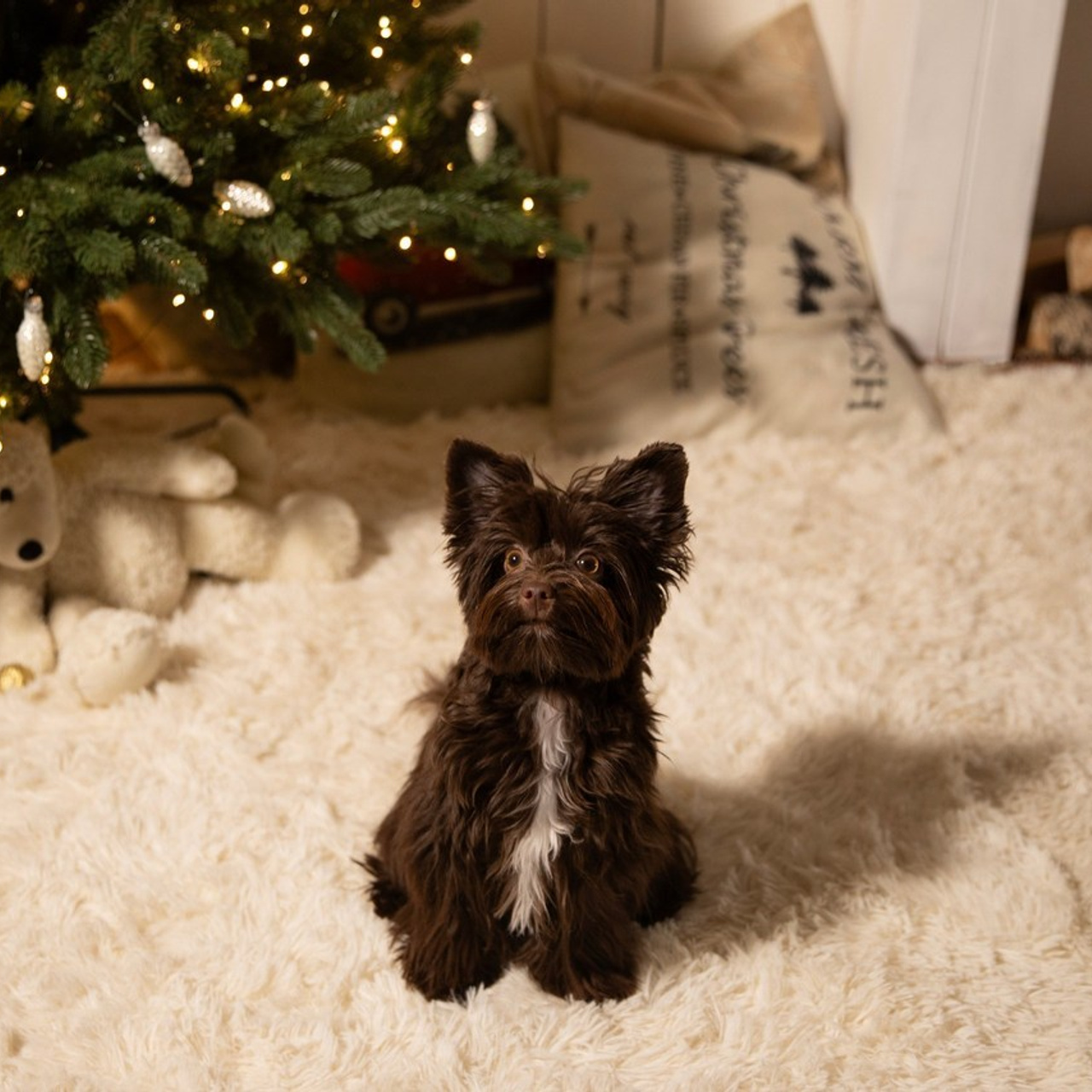 Ваши отзывы. Фотограф новорожденных, детский фотограф  Москва.Семейная съемка Москва. Семенова Анна