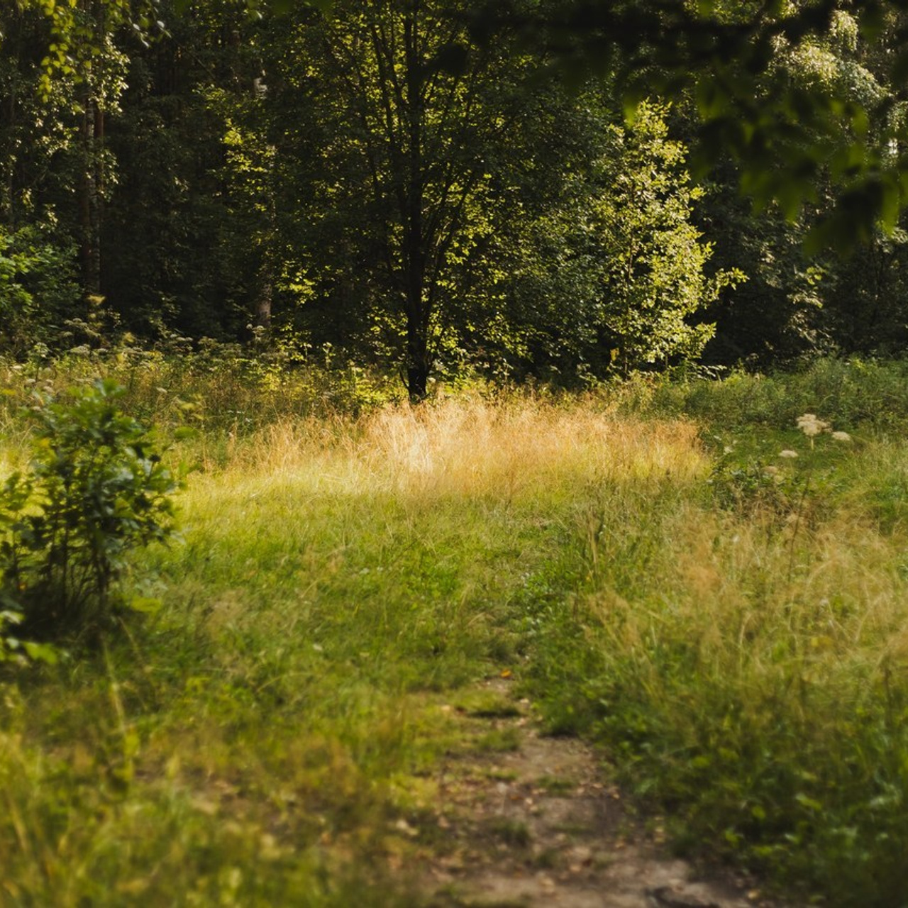 Отзывы о фотографе в Санкт-Петербурге: реальные клиенты, честные мнения