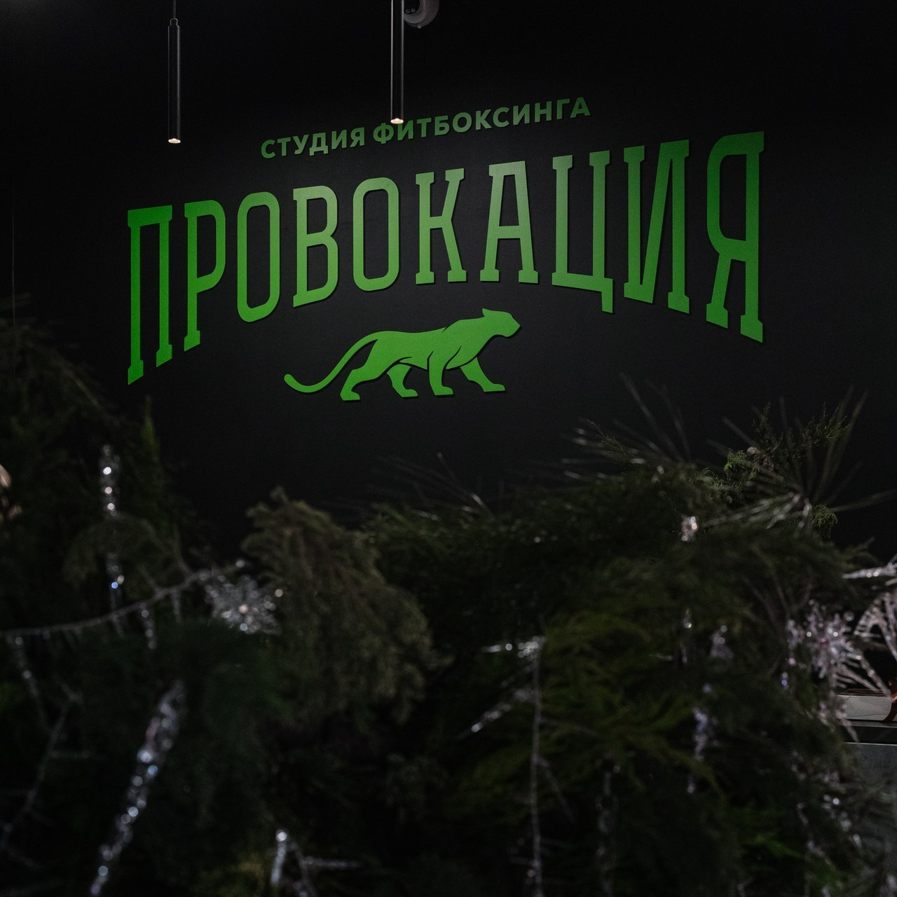 Отзывы. Фотограф Валерия Аленина