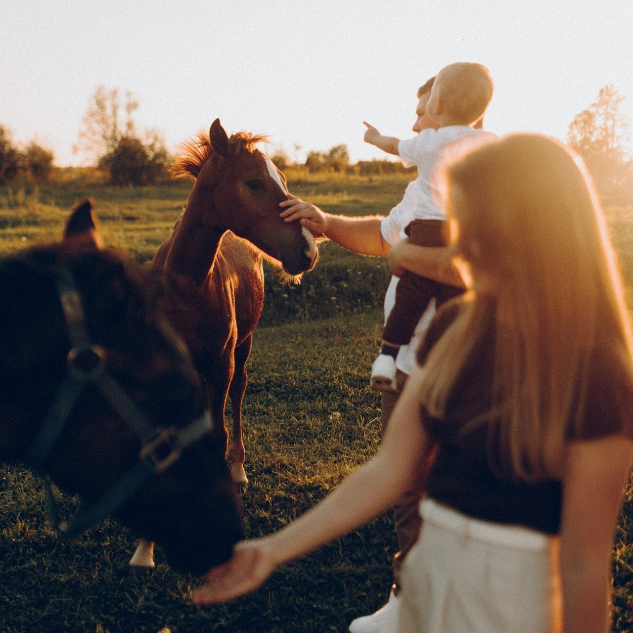 Отзывы. Главная