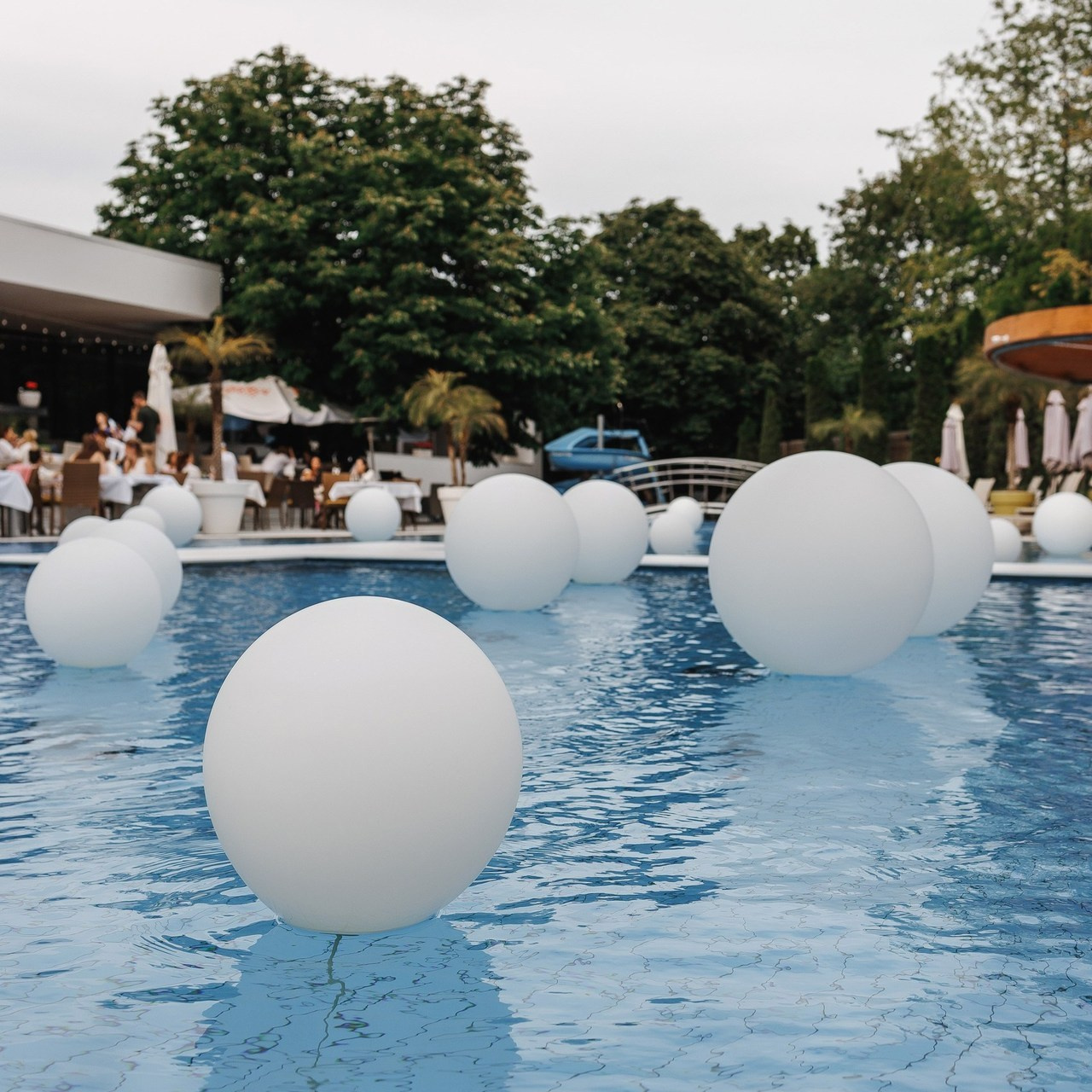 Отзывы. Свадебный и репортажный фотограф в Ростове-на-Дону Павел Кислов