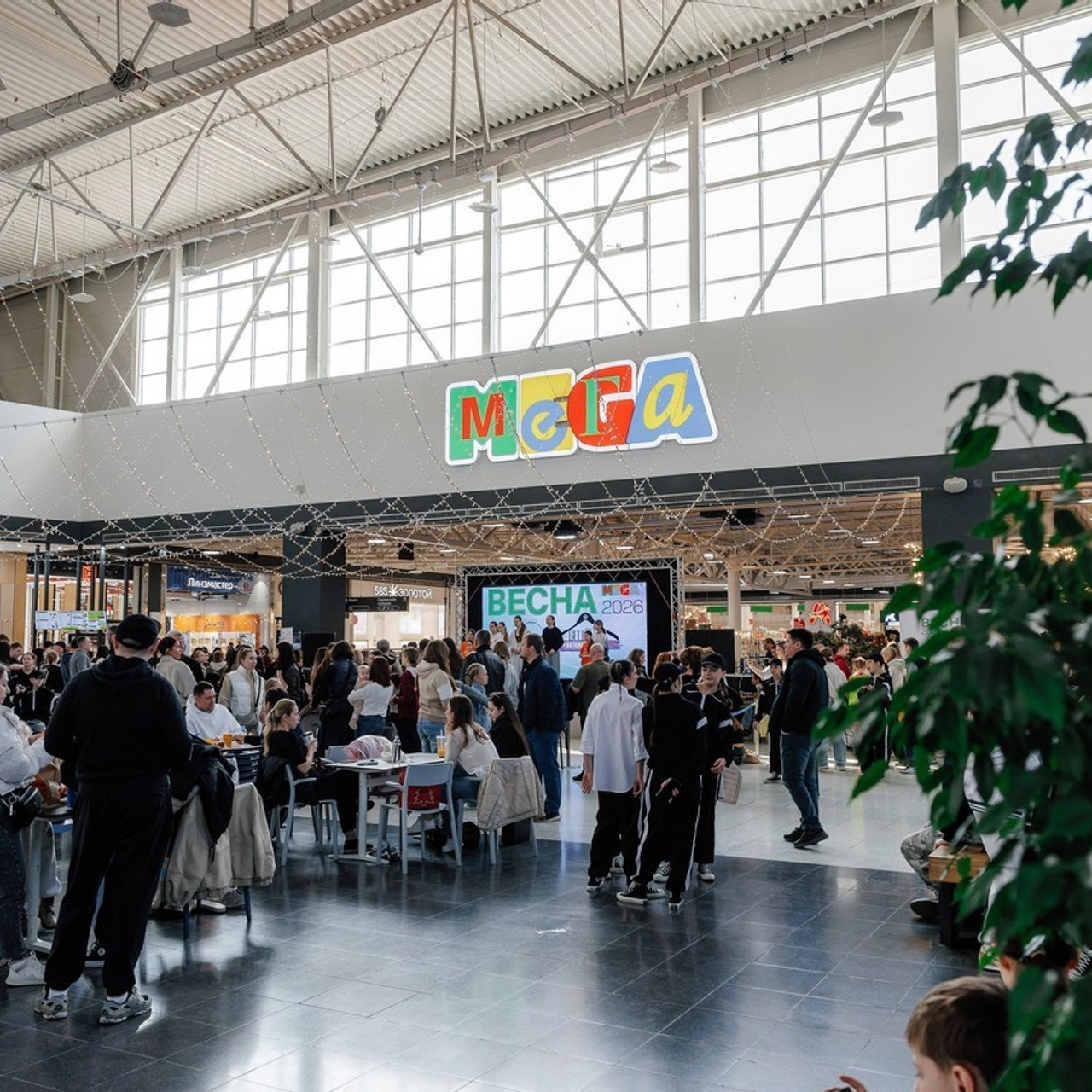 Отзывы. Свадебный и репортажный фотограф в Ростове-на-Дону Павел Кислов