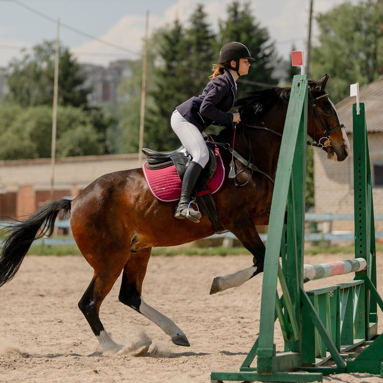 Отзывы. Конный фотограф Валынкина Лера