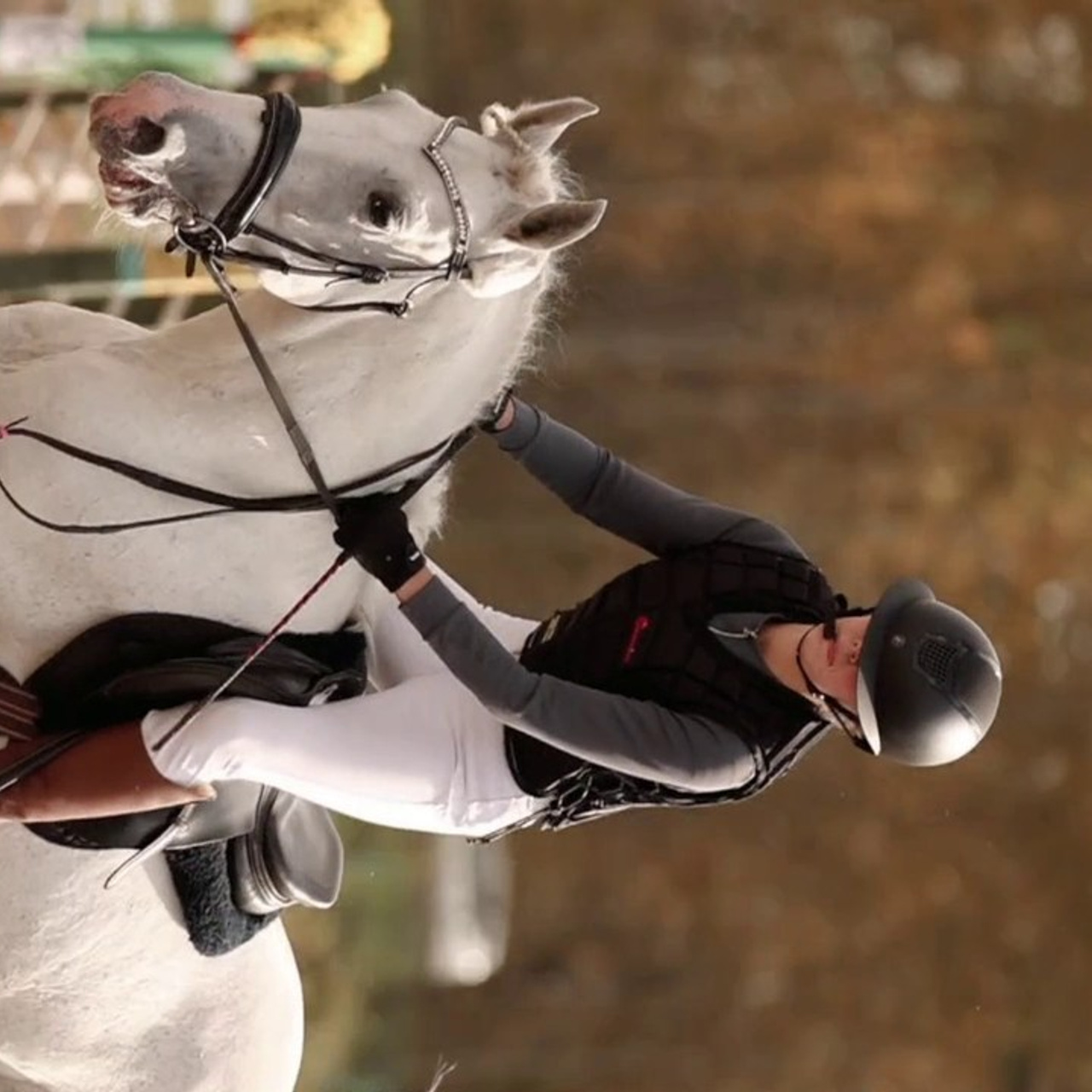 Отзывы. Конный фотограф Валынкина Лера