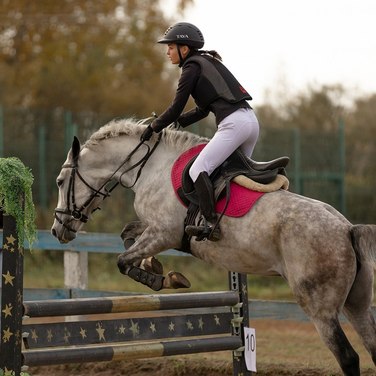 Отзывы. Конный фотограф Валынкина Лера