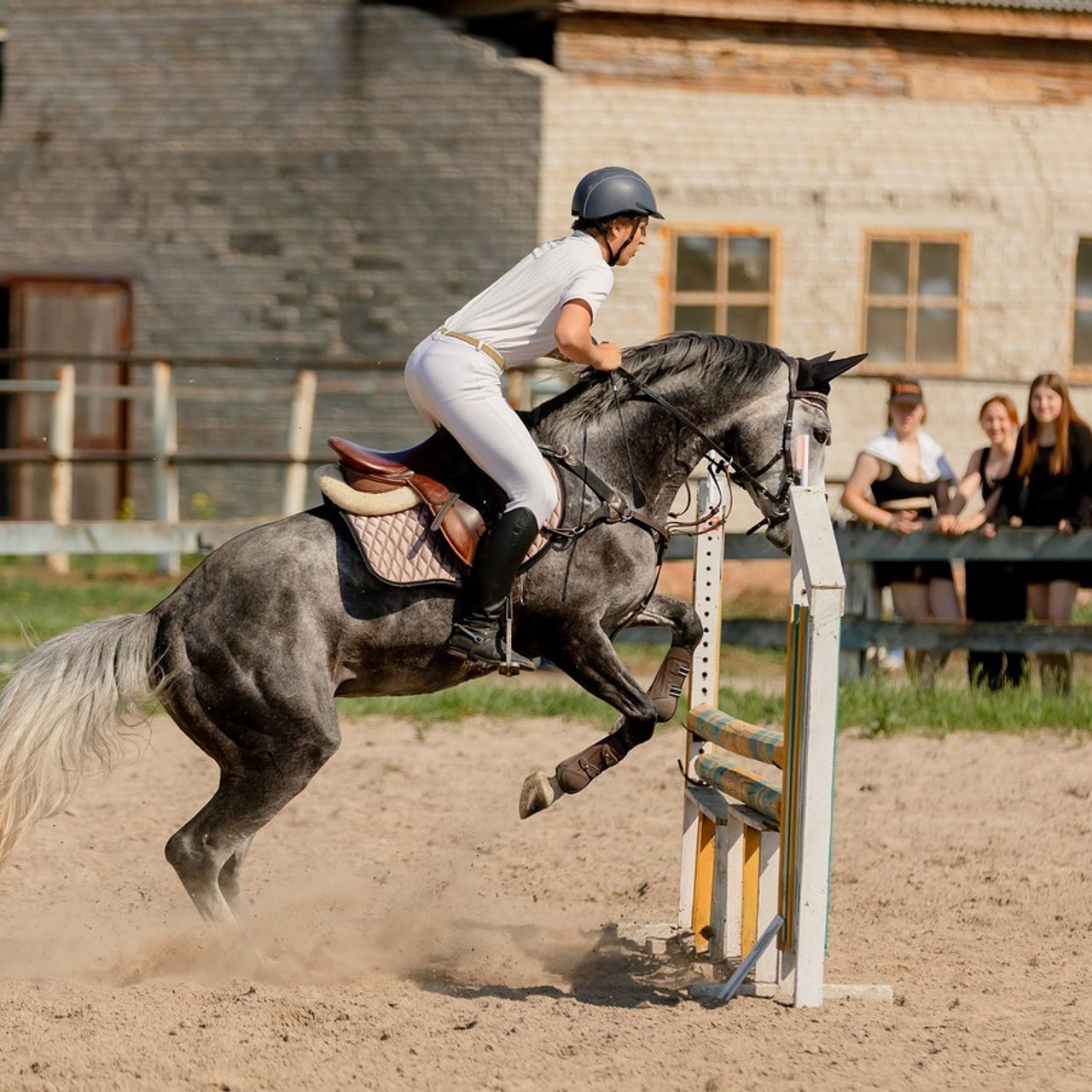 Отзывы. Конный фотограф Валынкина Лера