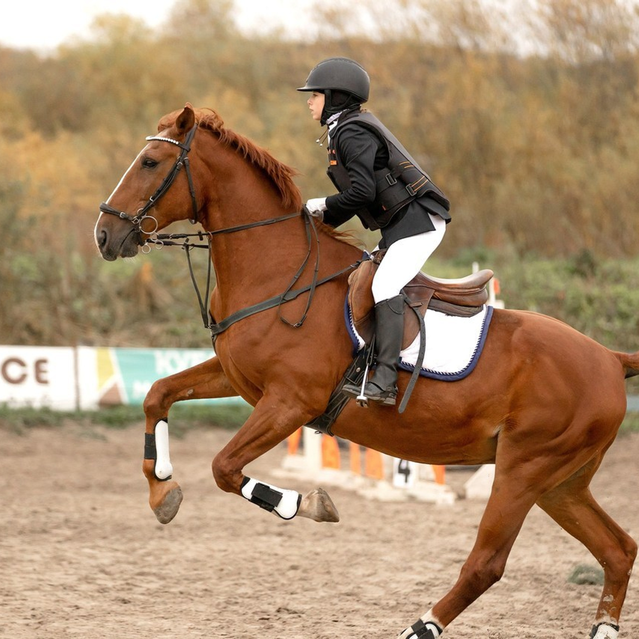 Отзывы. Конный фотограф Валынкина Лера