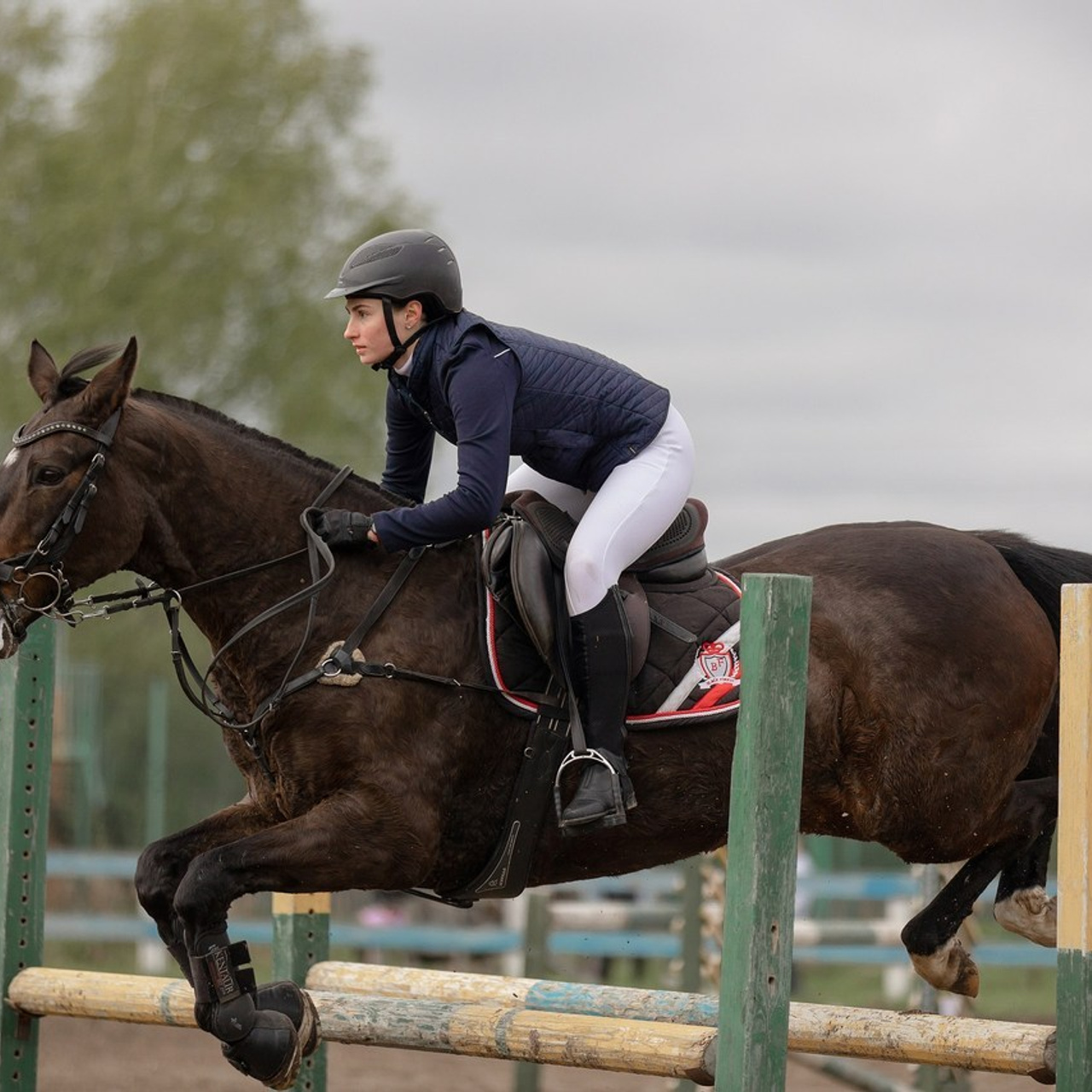 Отзывы. Конный фотограф Валынкина Лера