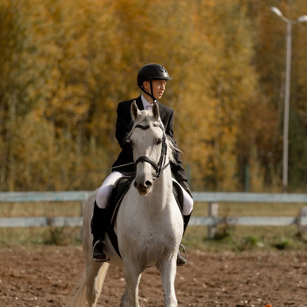 Отзывы. Конный фотограф Валынкина Лера
