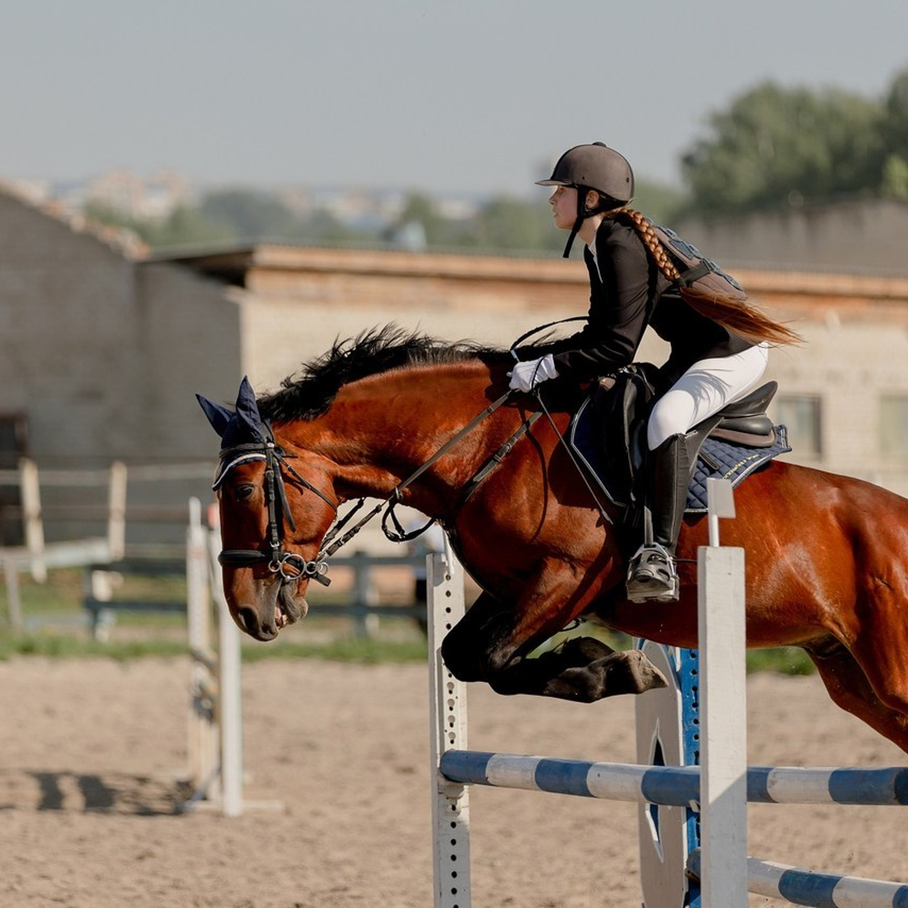 Отзывы. Конный фотограф Валынкина Лера