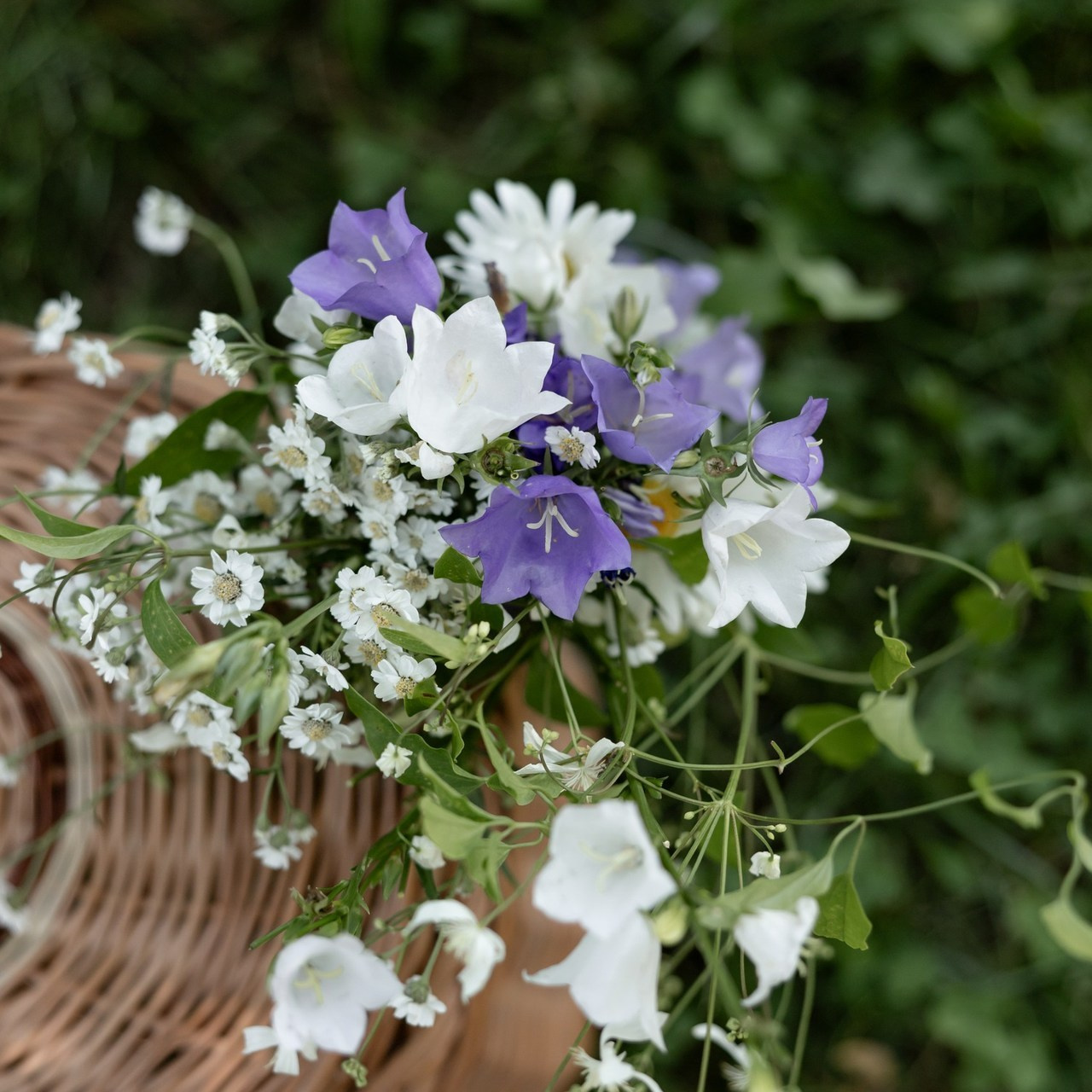 Отзывы. Свадебный фотограф Екатерина Герк