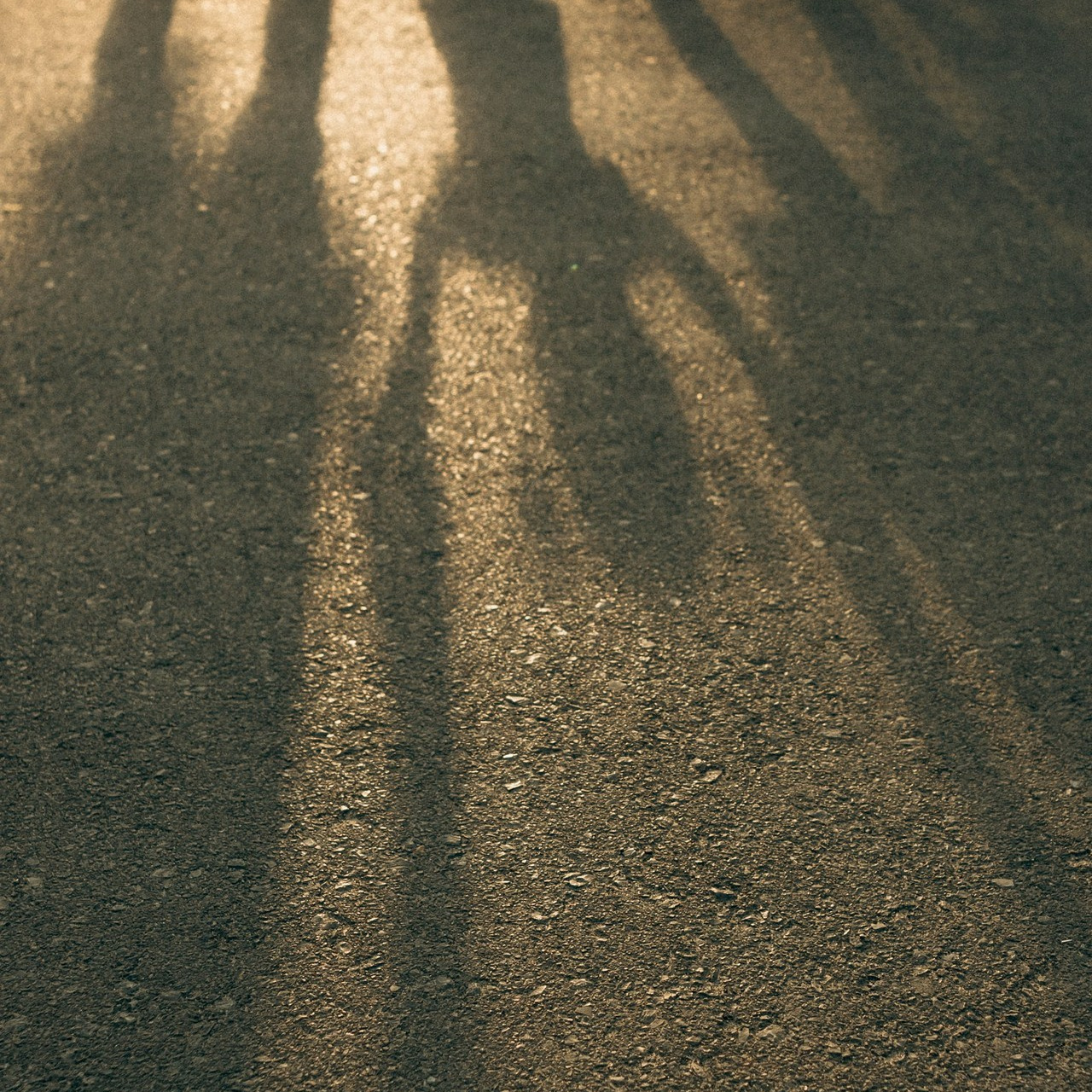 Отзывы о фотографе Алеся Бутакова. Семейный фотограф и детский фотограф в Волгограде Алеся Бутакова — дет