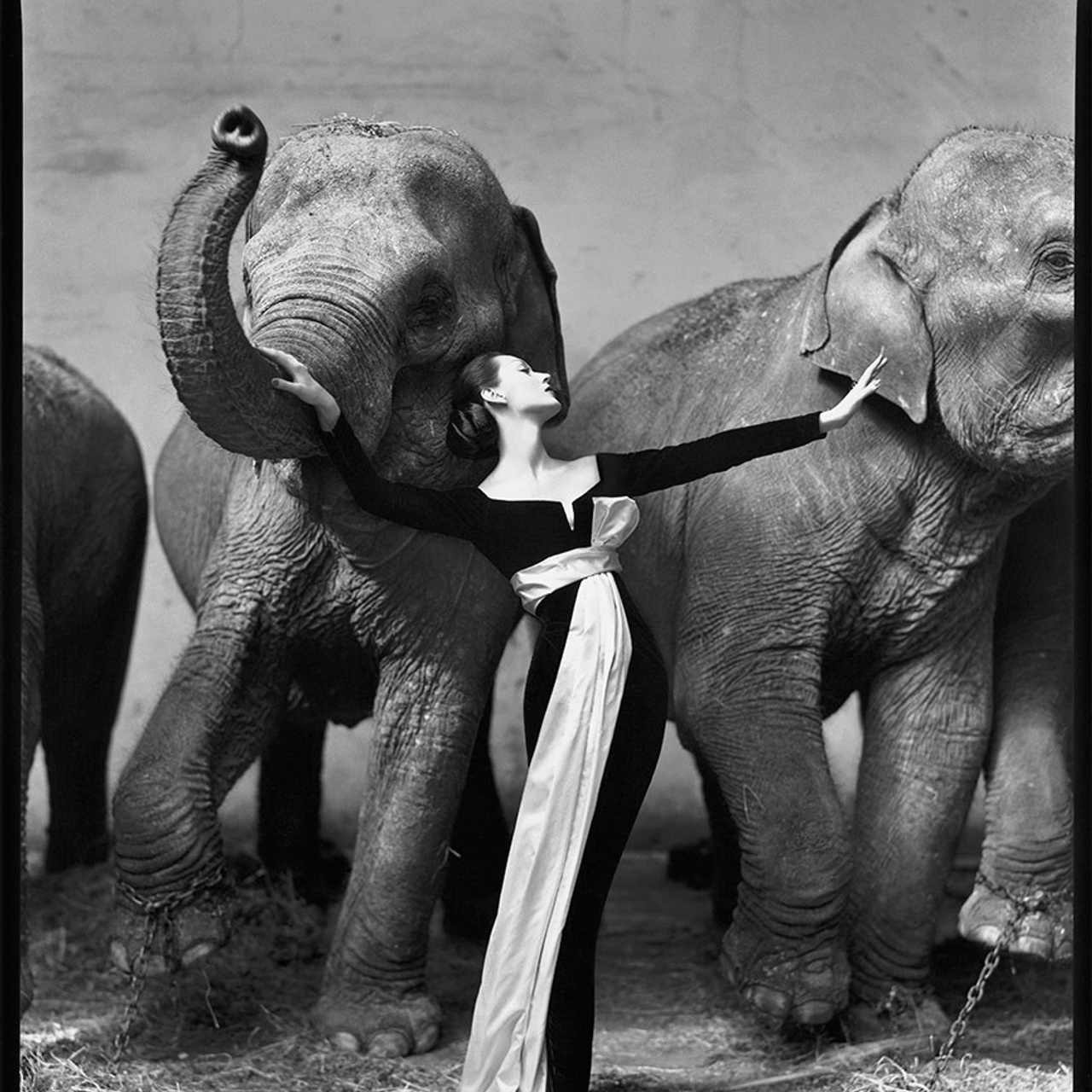 Полезная информация для фотосессий во Владивостоке