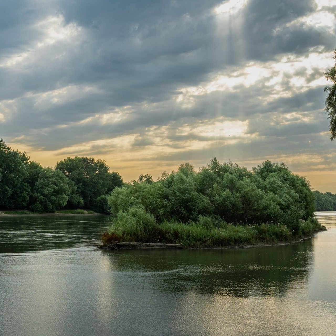 Отзывы. Фотограф г. Славянск-на-Кубани