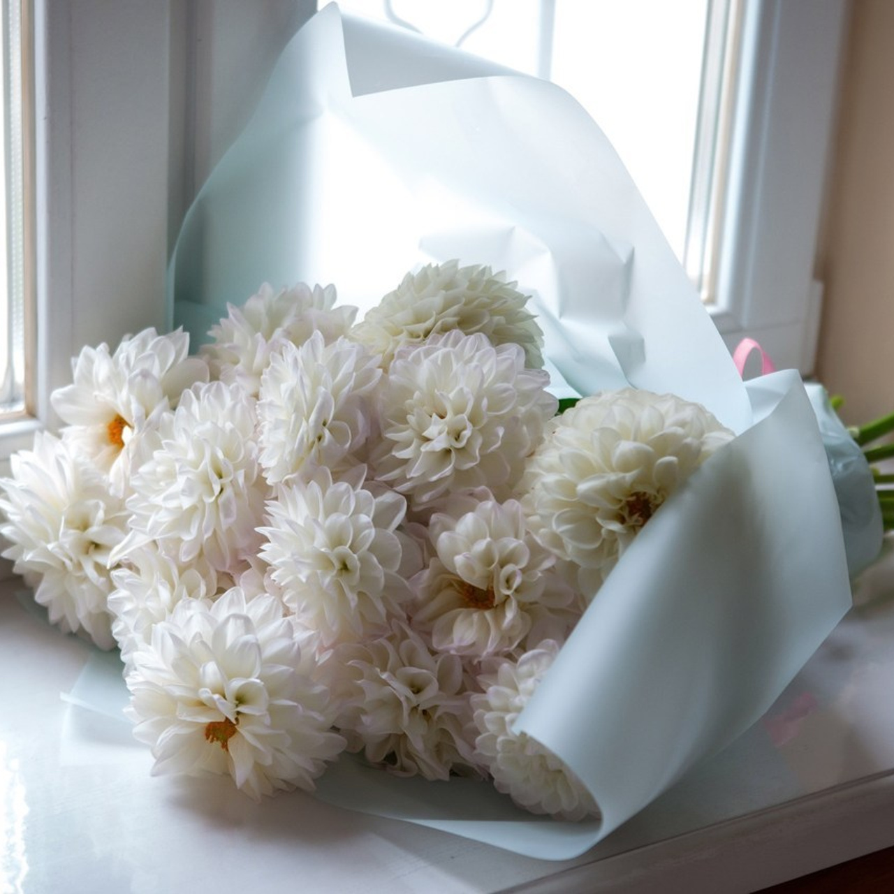 Отзывы. Tonya.photo. Фотограф, рилсмейкер