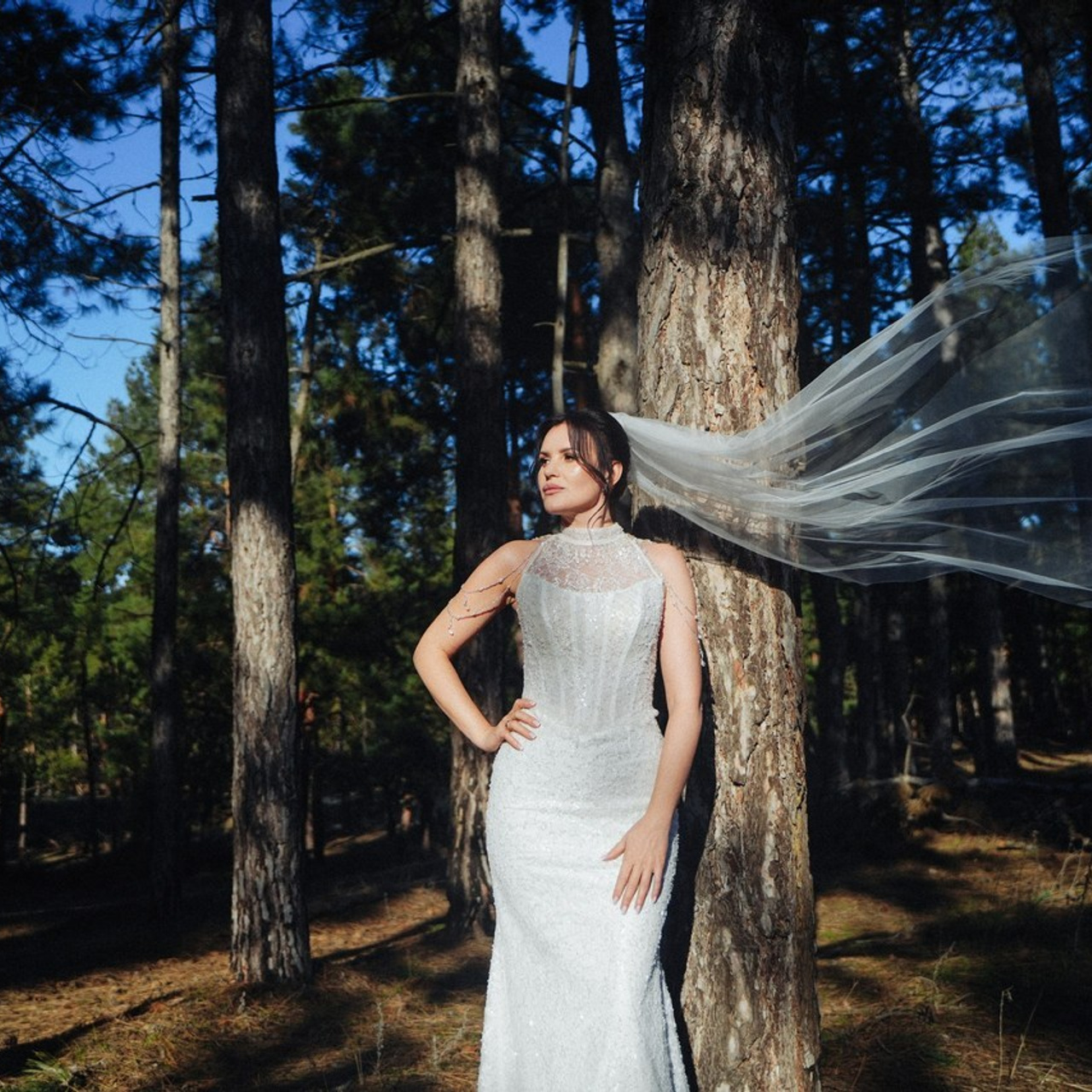 Отзывы. Семейный фотограф в Волгодонске Анастасия Шипилова