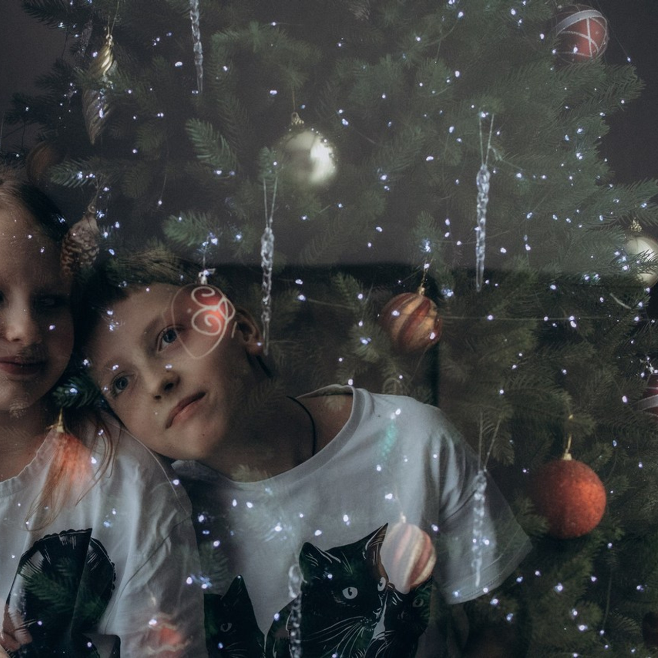 Отзывы. Семейный фотограф Анна Петрова