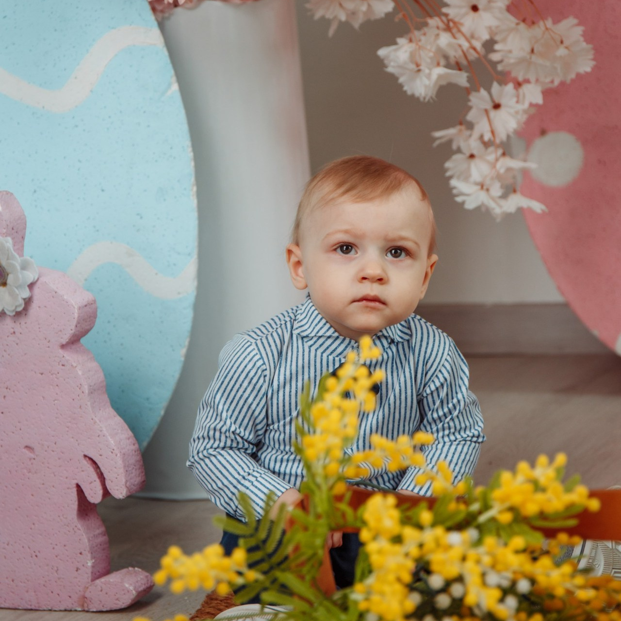 Отзывы. Семейный фотограф из Новошахтинска Антонина Змиенко