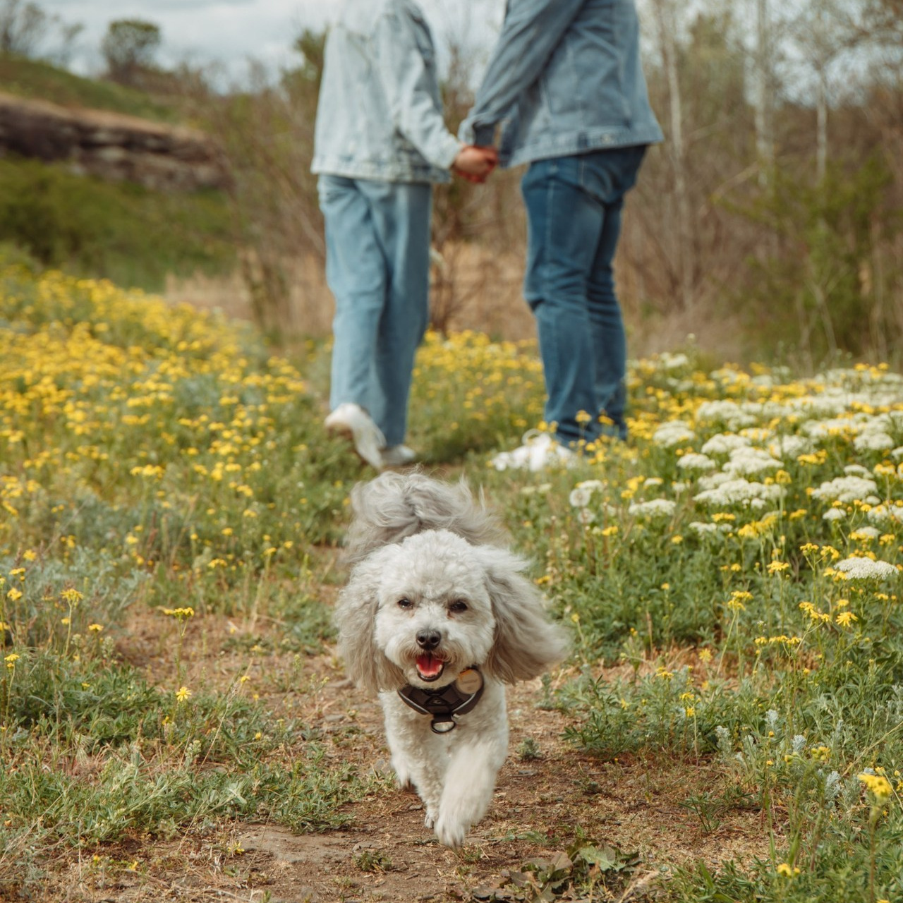 Отзывы. Семейный фотограф из Новошахтинска Антонина Змиенко