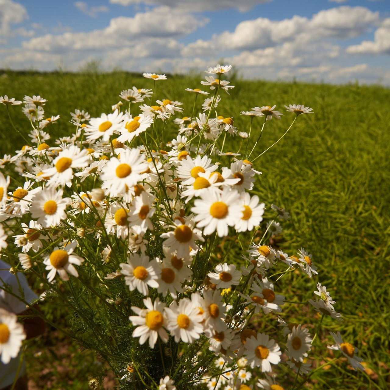 Отзывы. Фотограф Юлия Ремезова