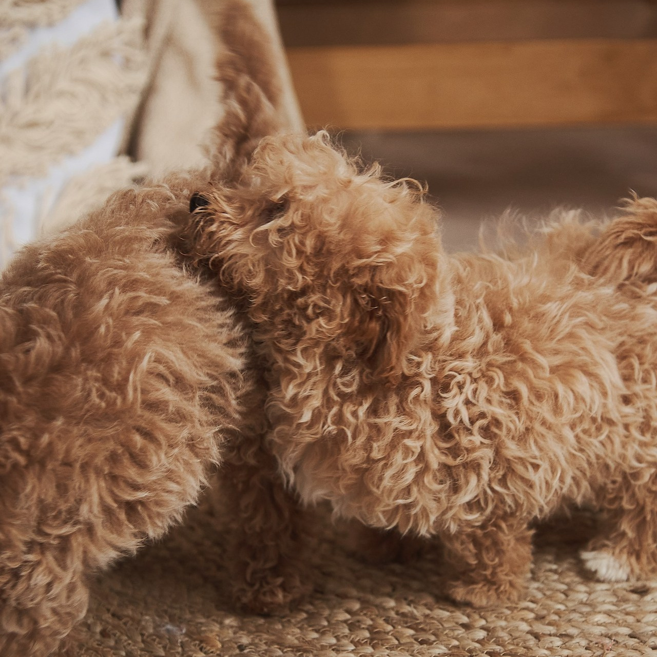 Отзывы. Фотограф Юлия Ремезова