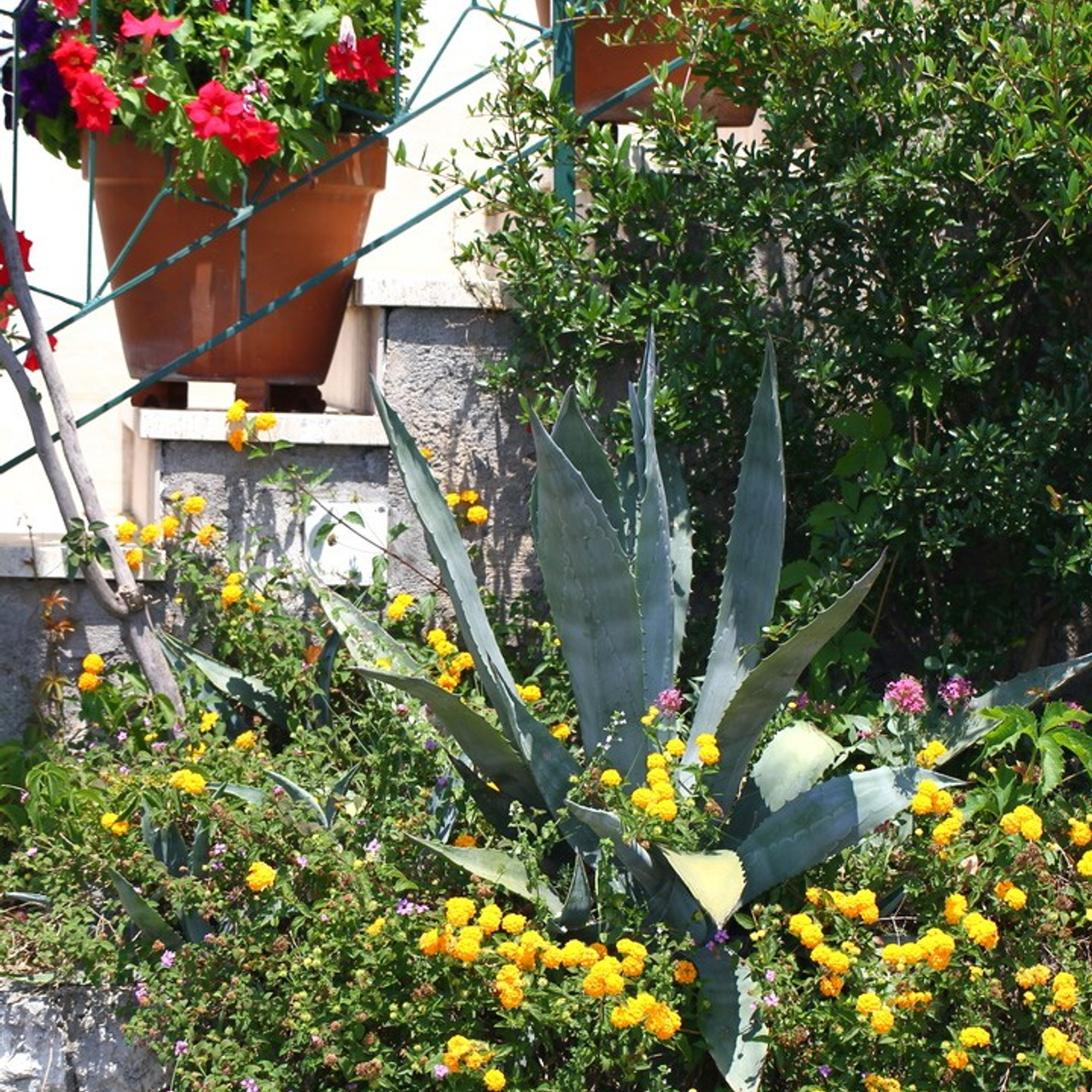 Италия. Амалфи, Бари 2012 г. Улица, люди, жизнь…