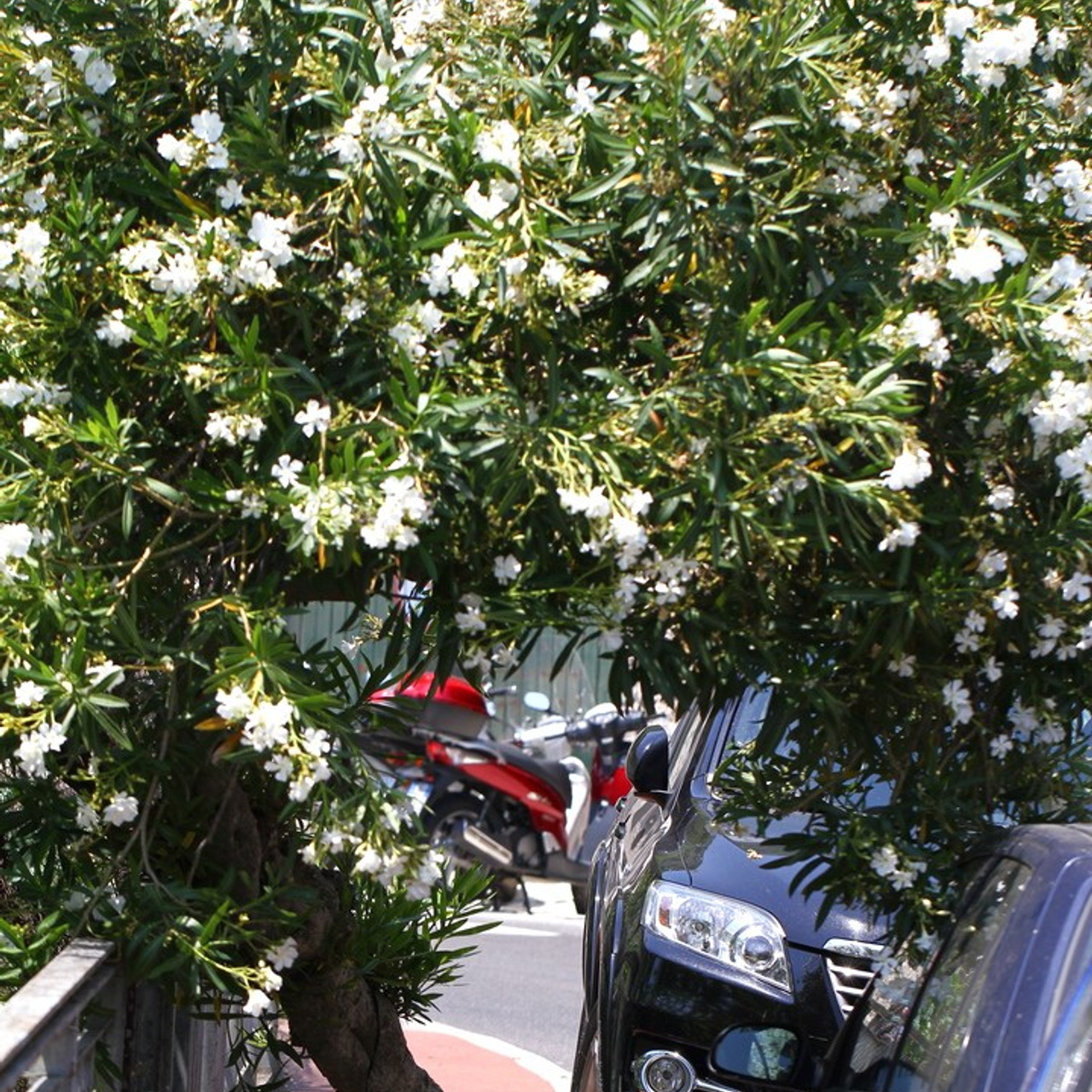 Италия. Амалфи, Бари 2012 г. Улица, люди, жизнь…