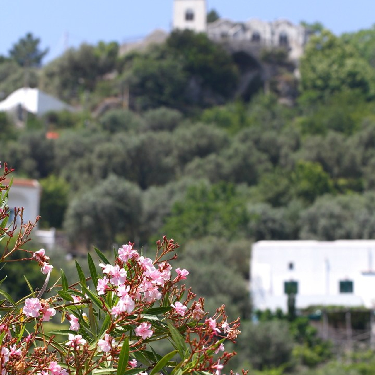 Италия. Амалфи, Бари 2012 г. Улица, люди, жизнь…