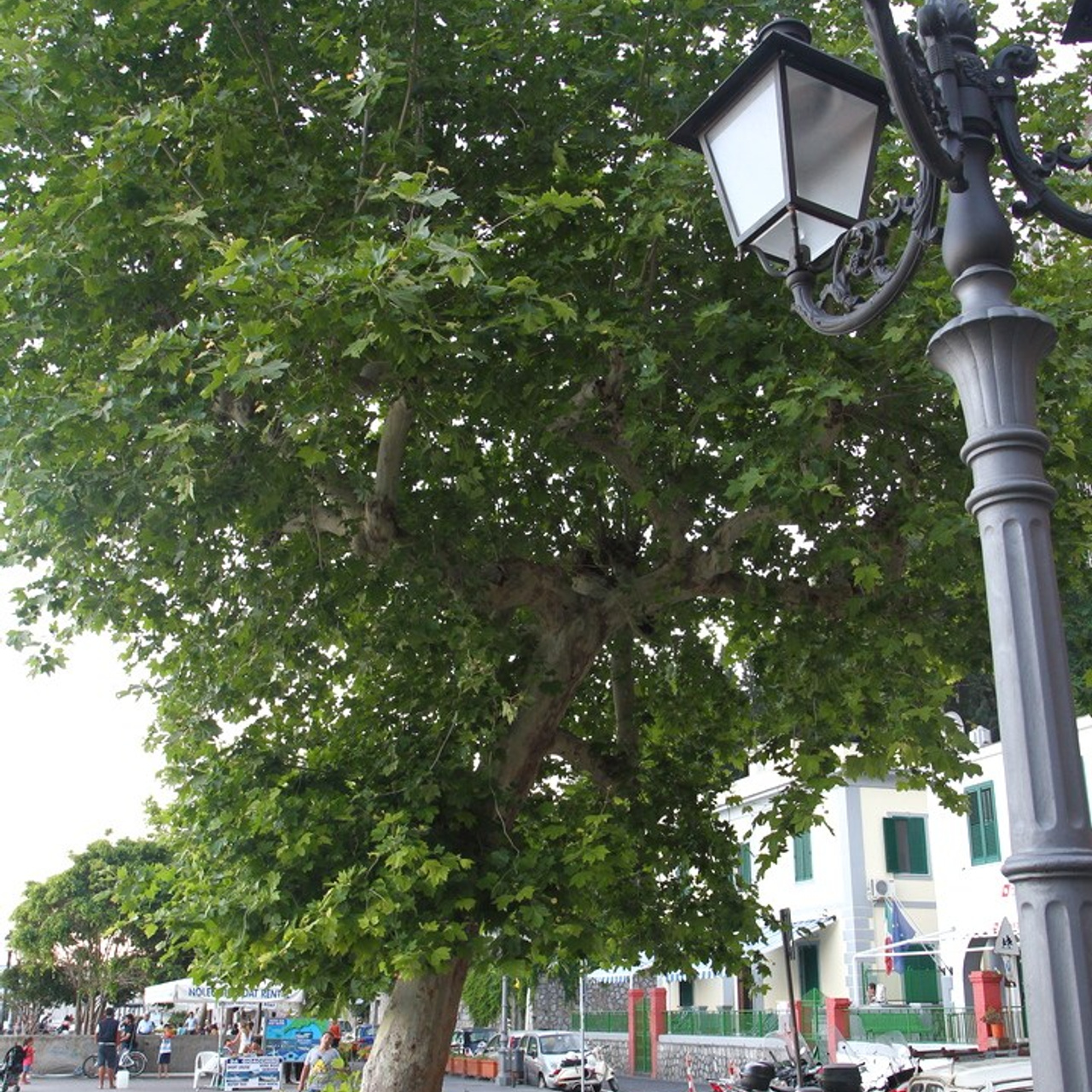 Италия. Амалфи, Бари 2012 г. Улица, люди, жизнь…