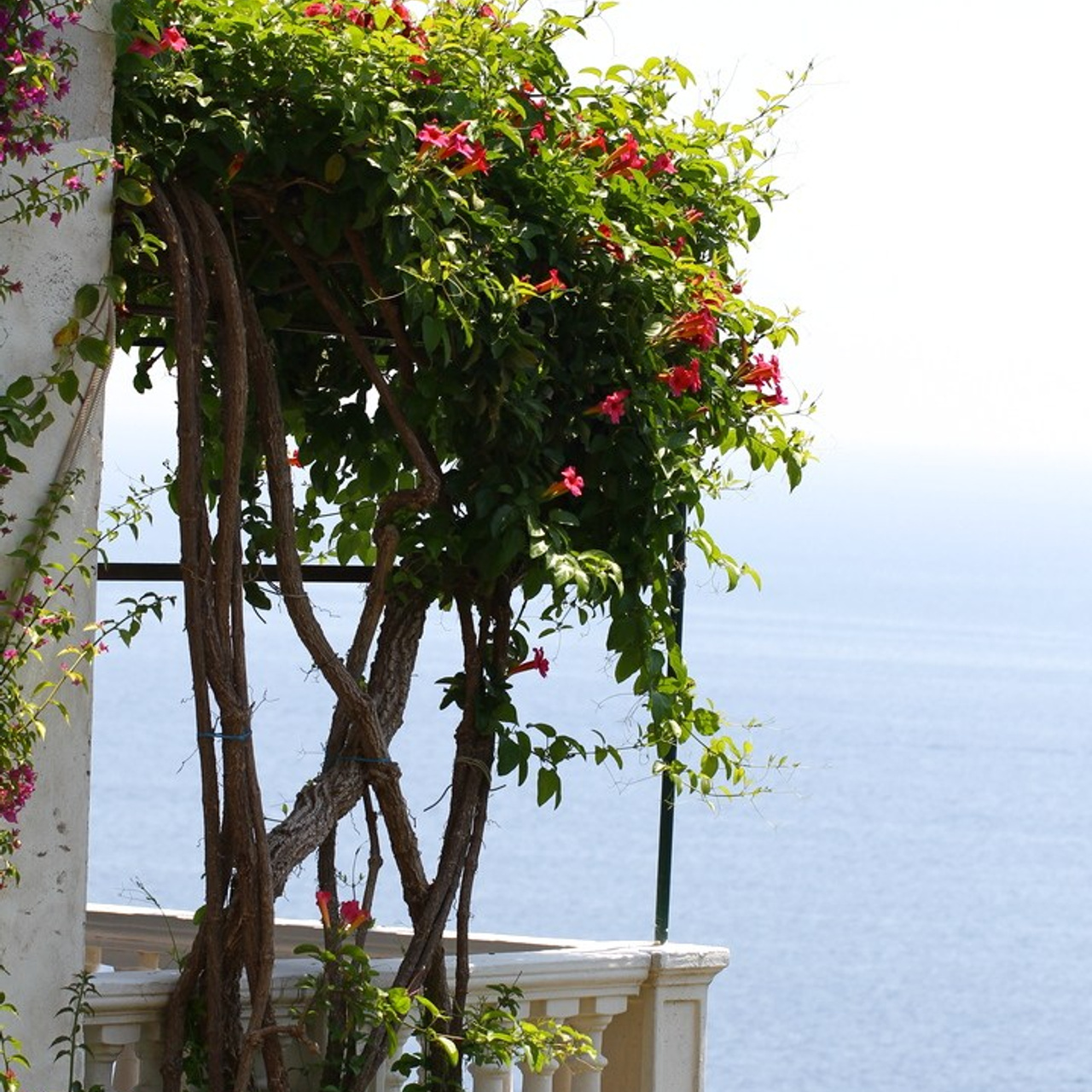 Италия. Амалфи, Бари 2012 г. Улица, люди, жизнь…