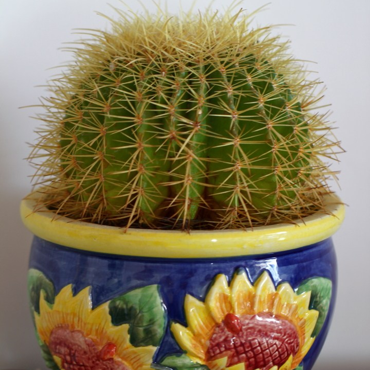 Италия. Амалфи, Бари 2012 г. Улица, люди, жизнь…